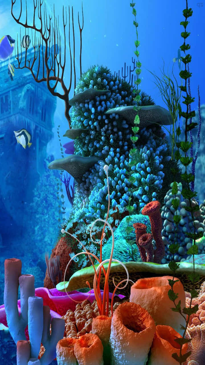 Aquarium iPhone, coral reef, colorful sea life, HD Phone Wallpaper