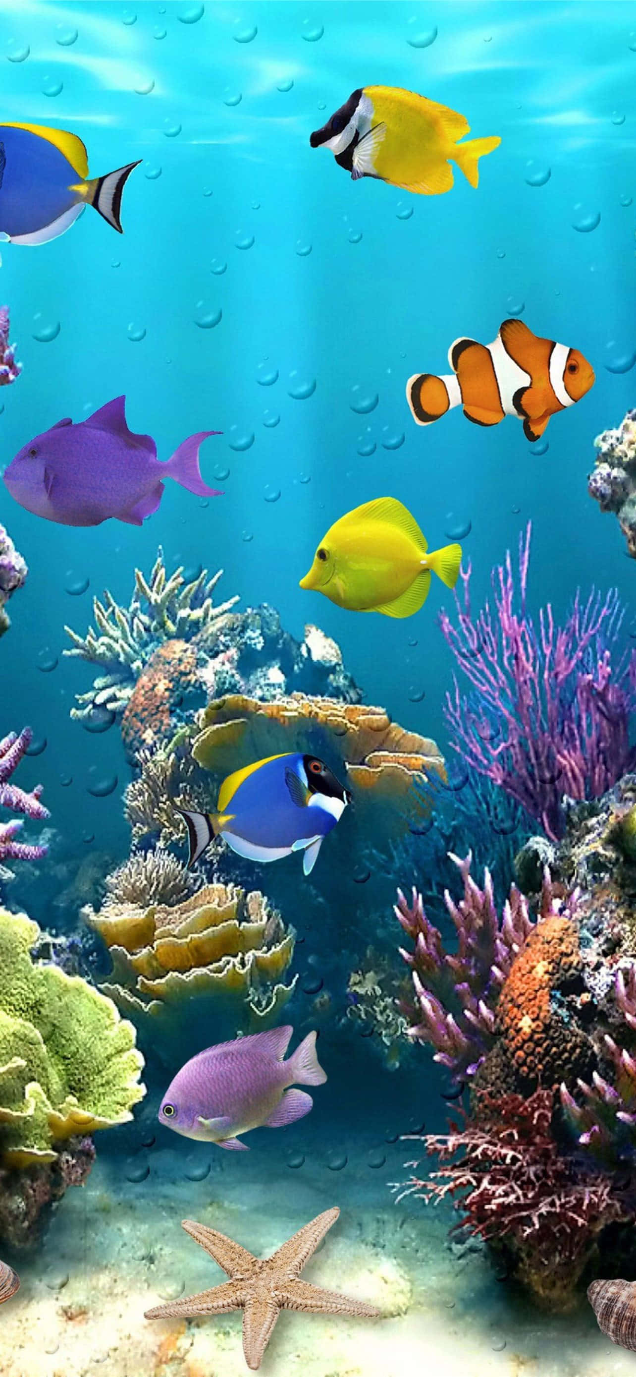 Aquarium iPhone, tropical fish, colorful coral reefs, 2K Phone Wallpaper