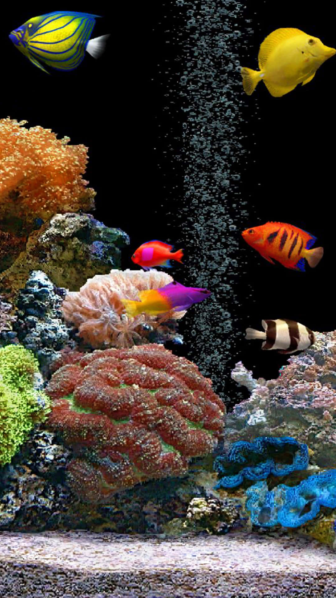 Aquarium iPhone, tropical fish, colorful coral formations, Full HD Phone Wallpaper