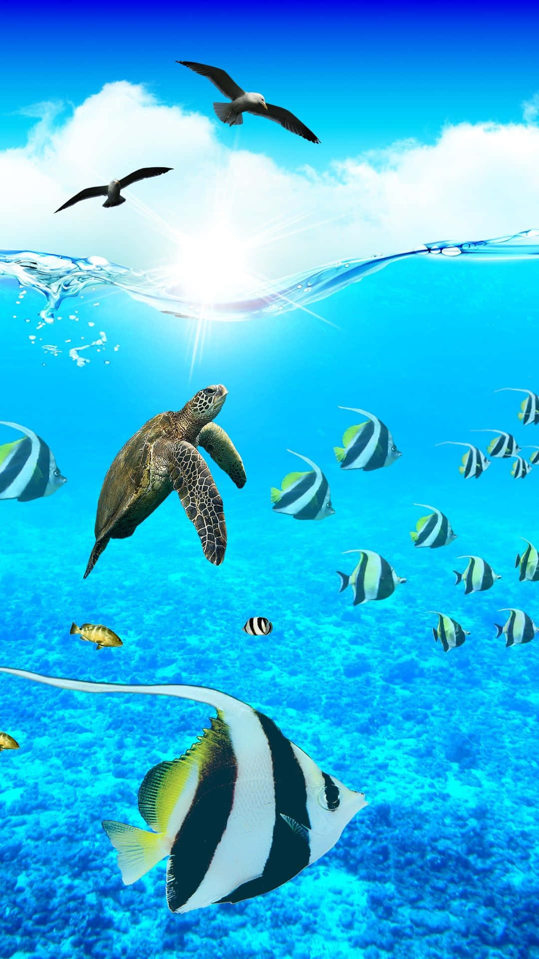 Aquarium iPhone, sea turtle, colorful fish, Full HD Phone Wallpaper