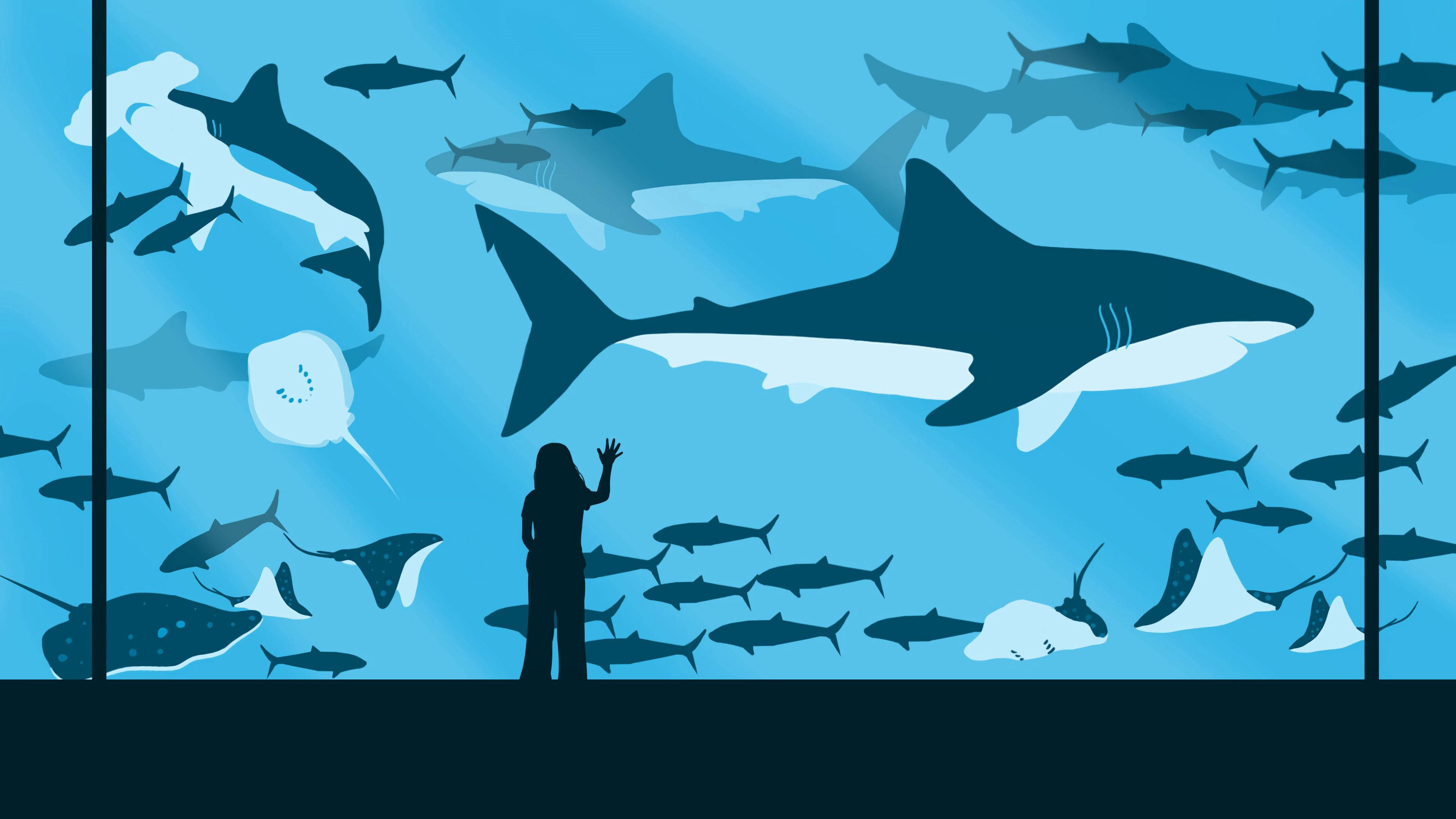 girl, shark, aquarium, 4K Desktop Wallpaper