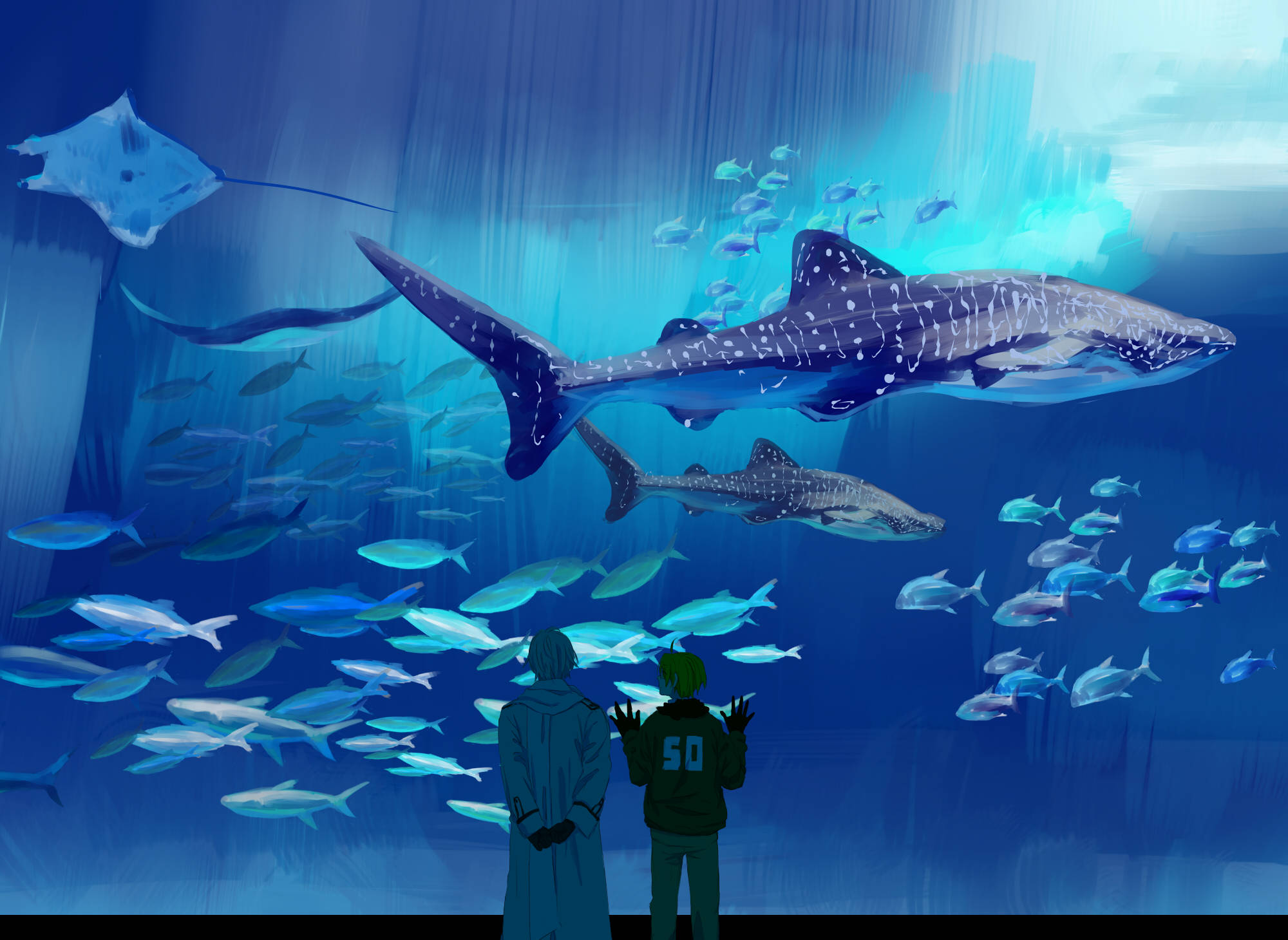 whale shark, school of fish, vast blue aquarium tank, Full HD Desktop Wallpaper
