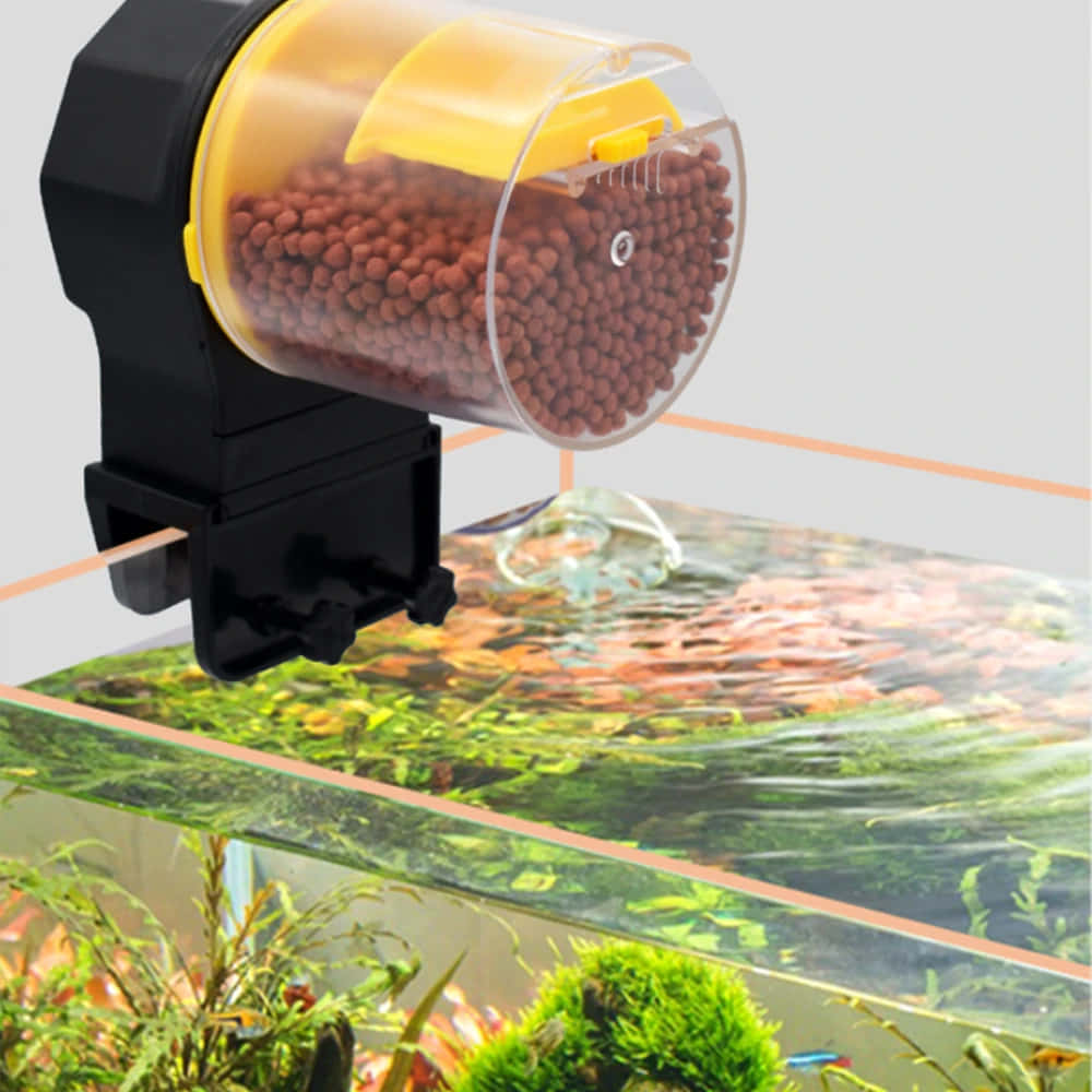 automatic fish feeder, black and yellow, brown pellets, SD Desktop Wallpaper