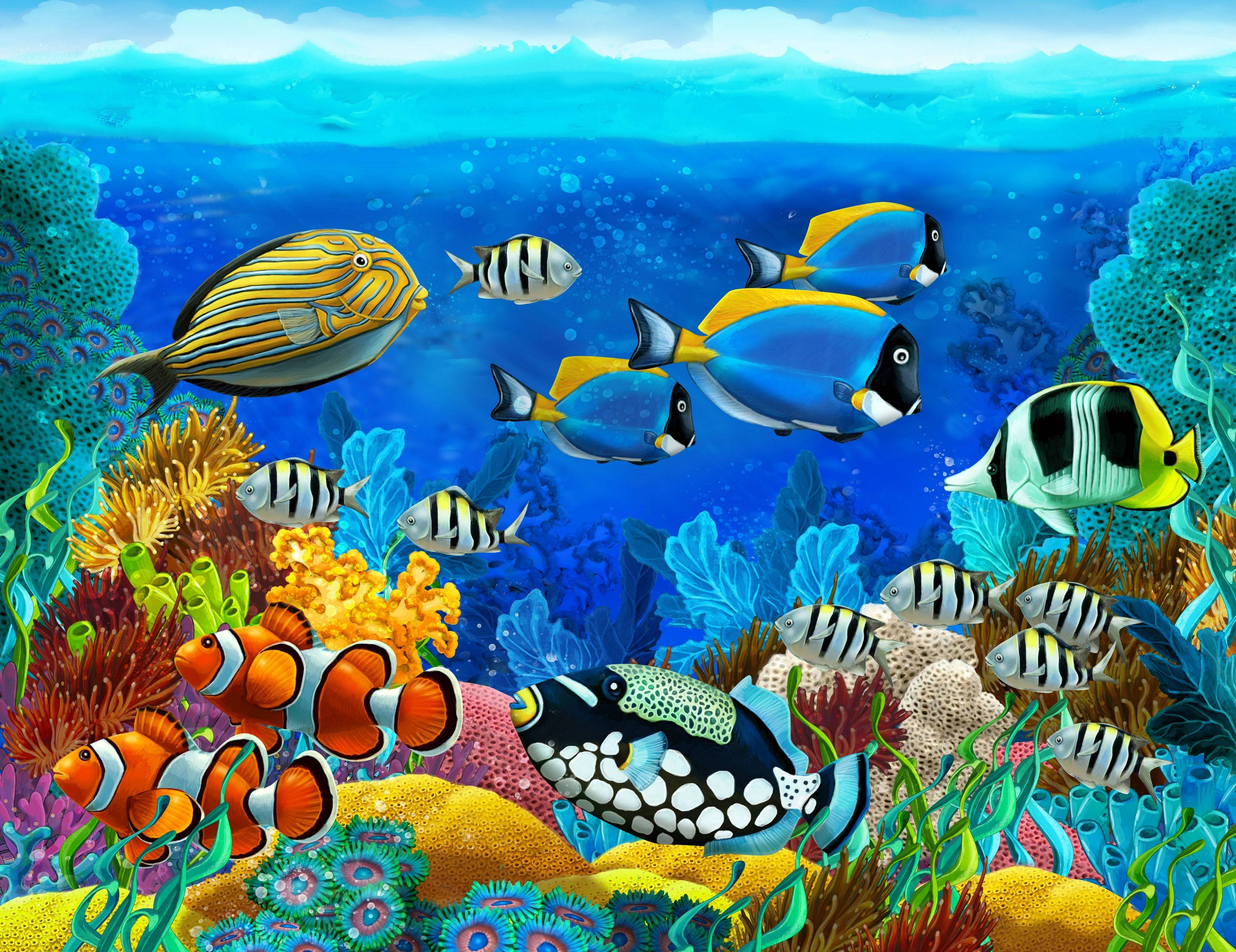 tropical fish, colorful coral reefs, clear blue ocean waters, 4K Desktop Wallpaper