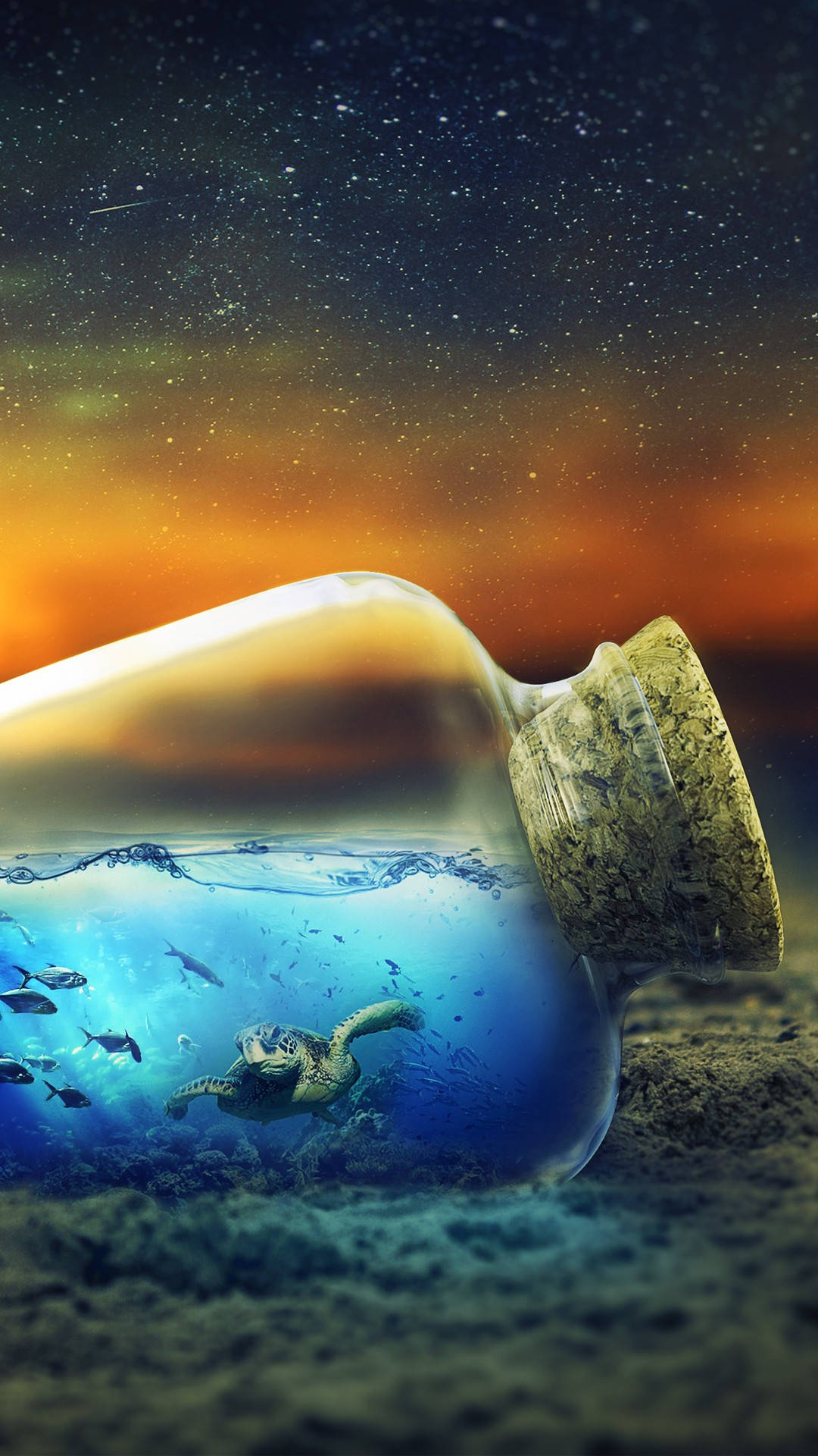bottle top, sea turtle, fish, Full HD Phone Wallpaper