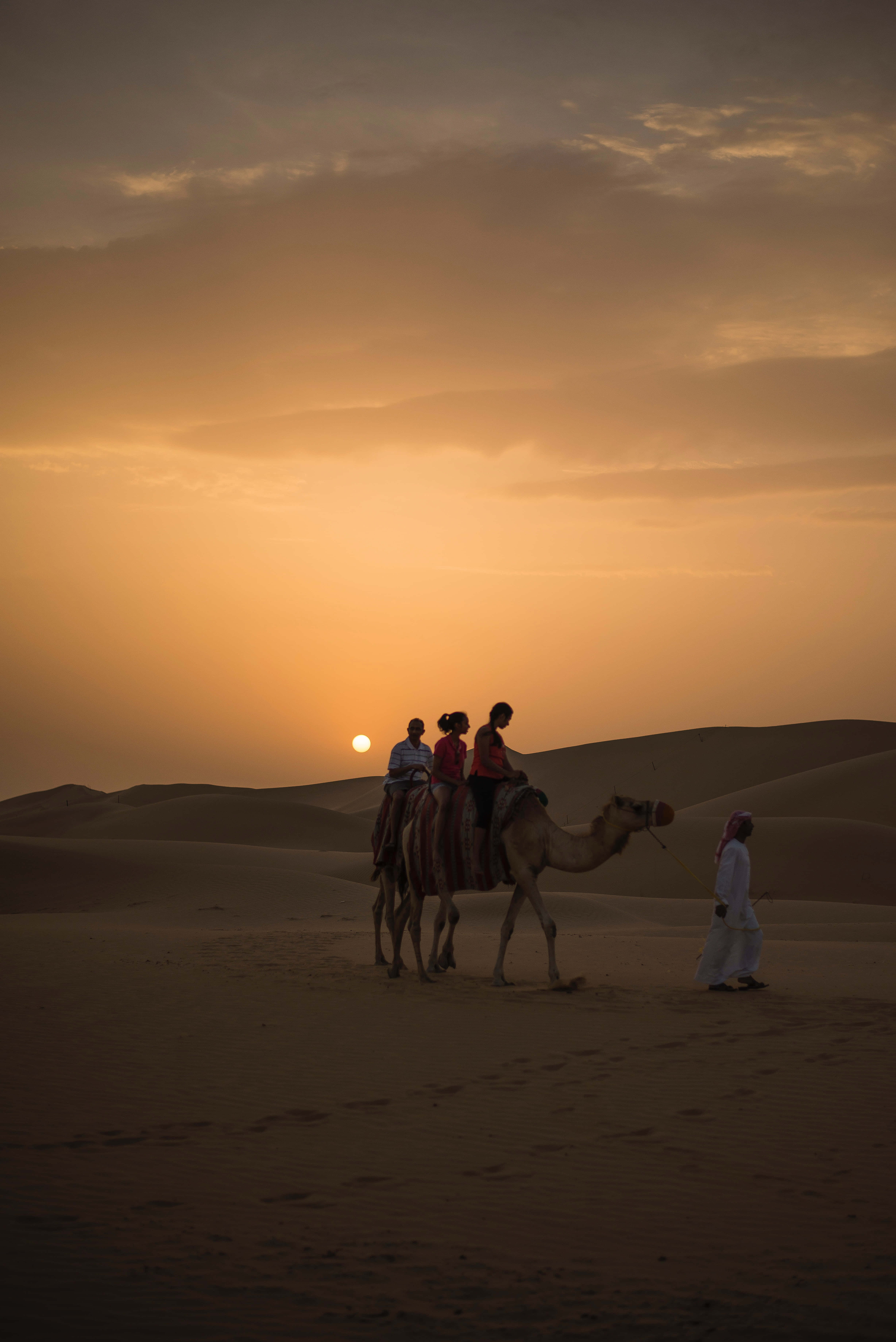 Arabic, camel, golden desert dunes, 5K Phone Wallpaper
