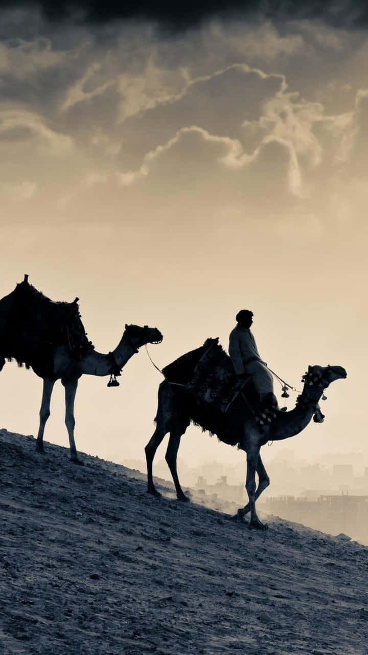 Arabic, 720 x 1280, dusk, HD Phone Wallpaper