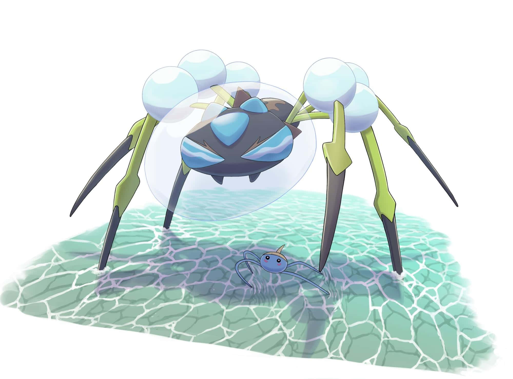 Araquanid, sea floor, shallow water, Full HD Desktop Wallpaper