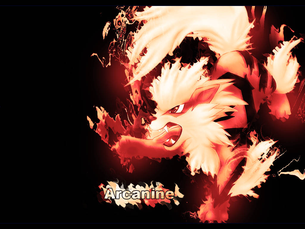 Arcanine, Flaming Body, fiery, SD Desktop Wallpaper