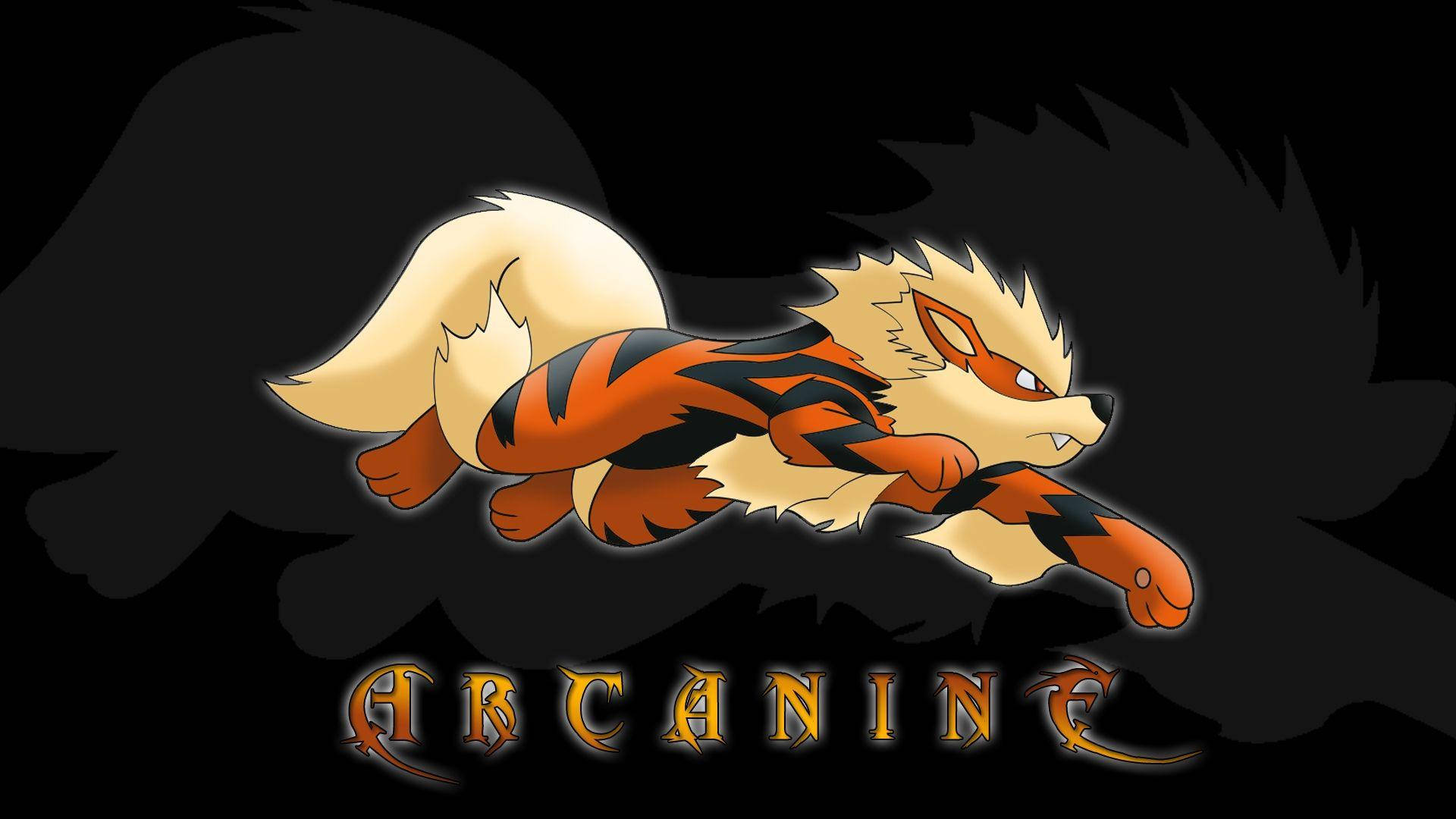 Arcanine, fiery orange, black, Full HD Desktop Wallpaper