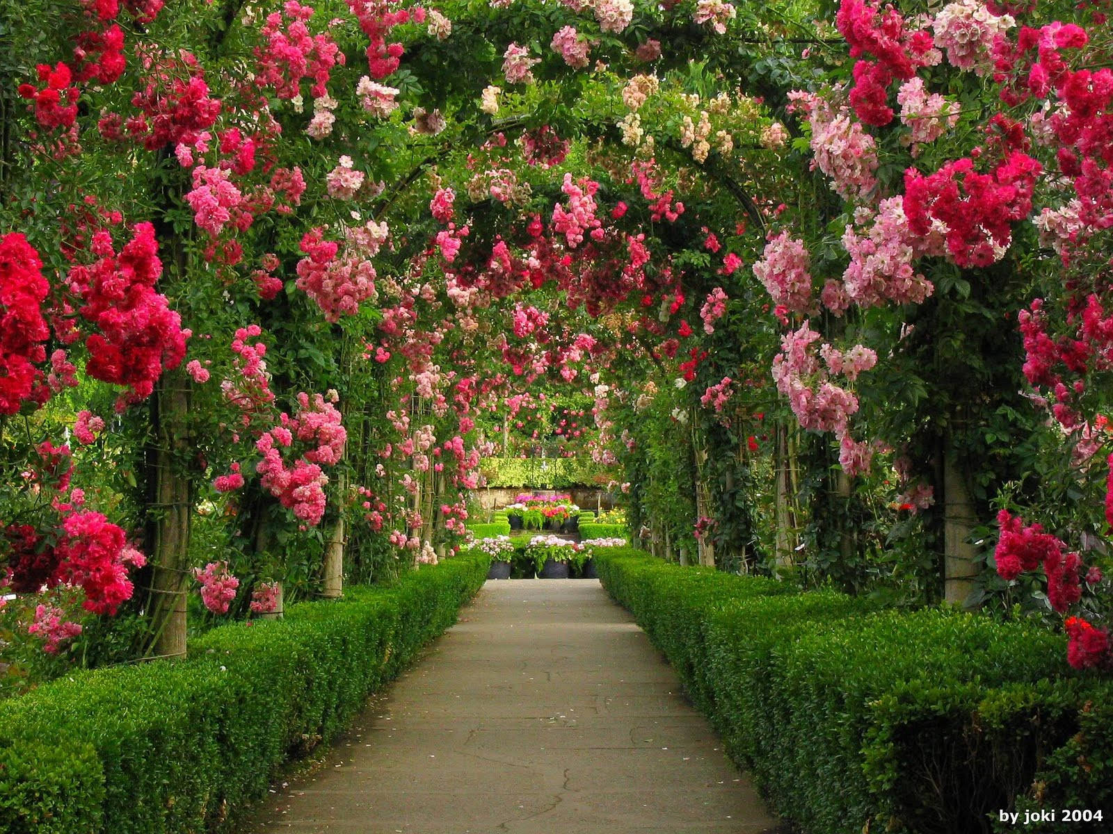 flower garden, arches, stone path, HD Desktop Wallpaper
