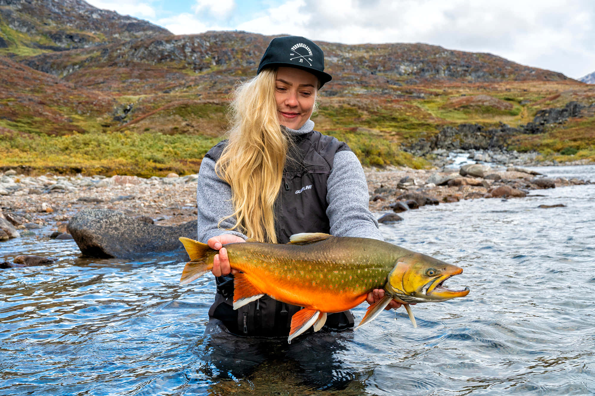 Arctic Char, orange and green salmon, rocky hills, Full HD Desktop Wallpaper