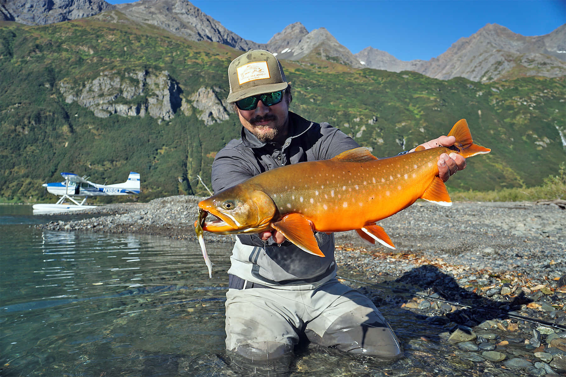 Arctic Char, brook trout, mountains, HD Desktop Wallpaper