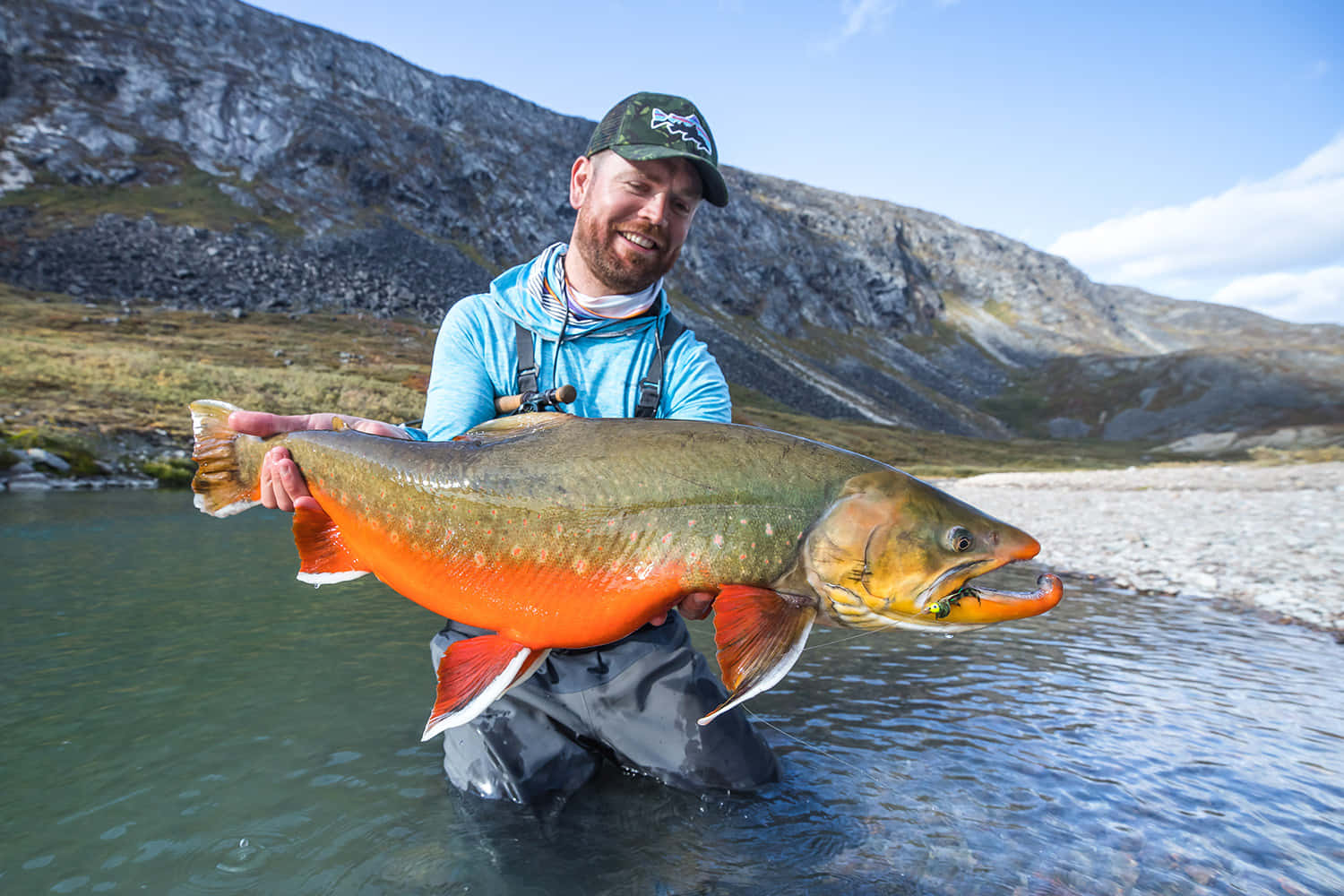 Arctic Char, blue hoodie, large salmon, HD Desktop Wallpaper