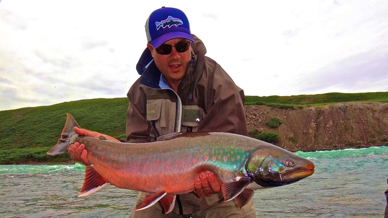 Arctic Char, blue cap, sunglasses, HD Desktop Wallpaper
