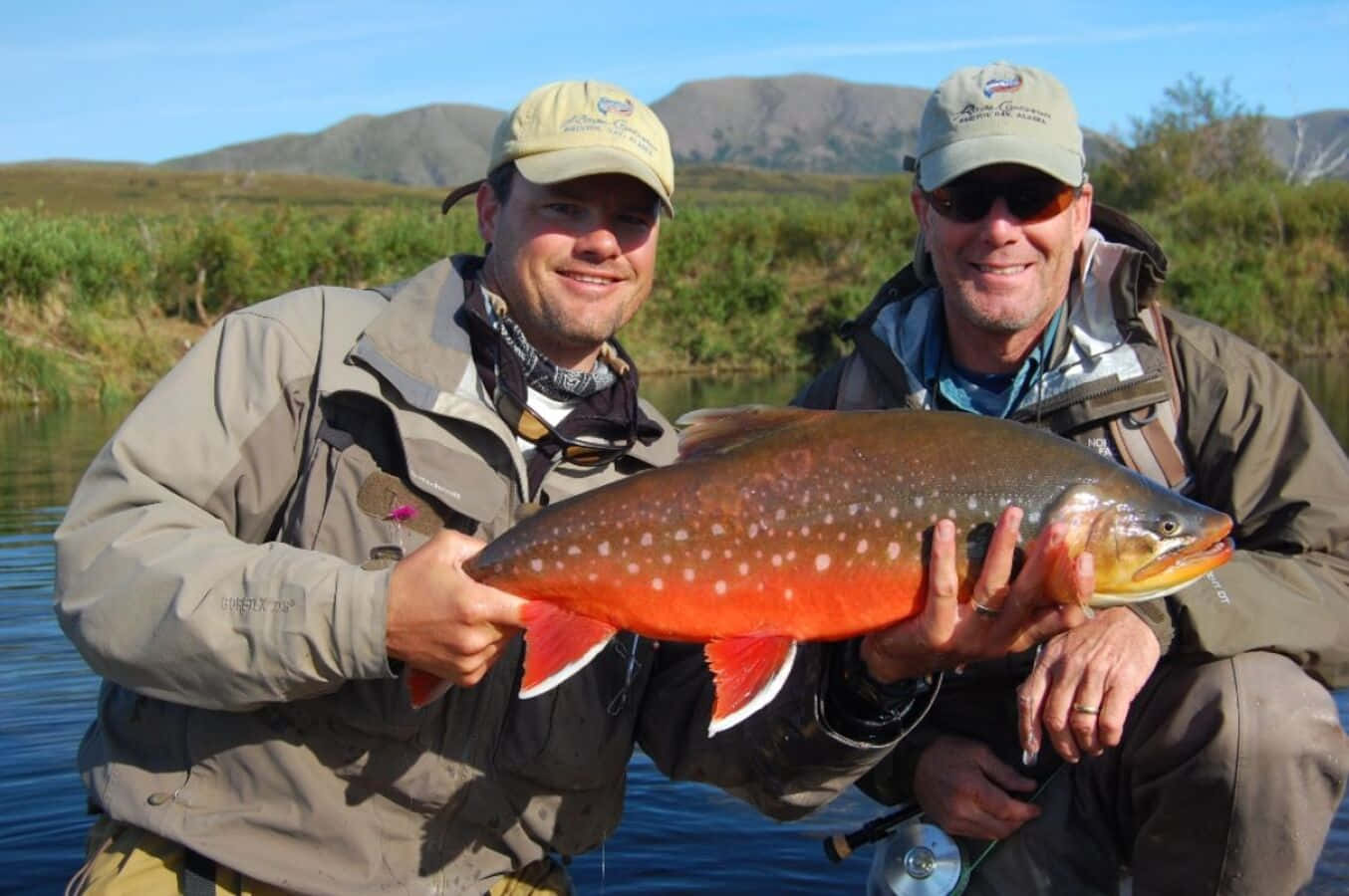 Arctic Char, spotted brook trout, river, HD Desktop Wallpaper