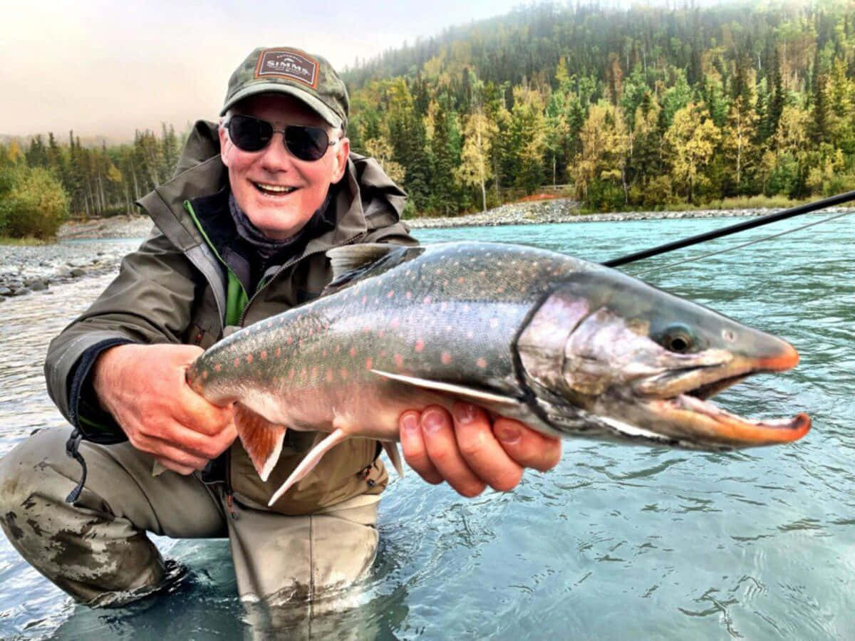 Arctic Char, spotted salmon, clear river, SD Desktop Wallpaper