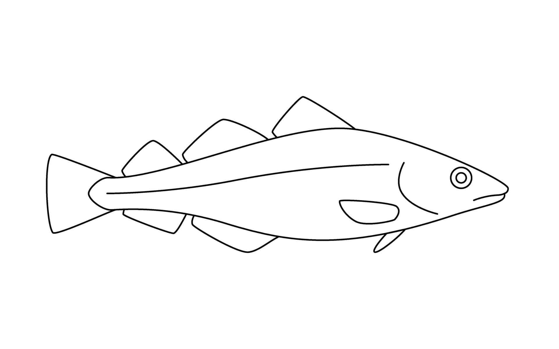 Arctic Cod, black outline, fish, Full HD Desktop Wallpaper