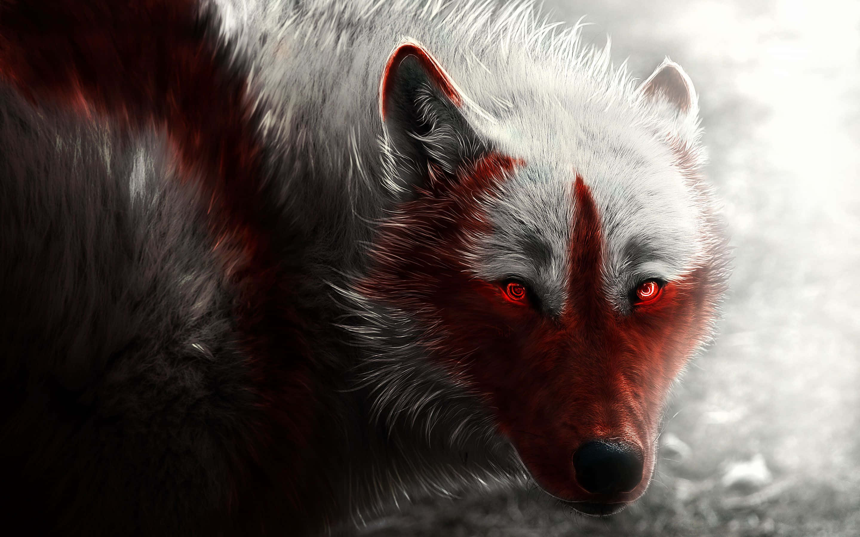 Arctic Wolf, white wolf, glowing red eyes, 2K Desktop Wallpaper