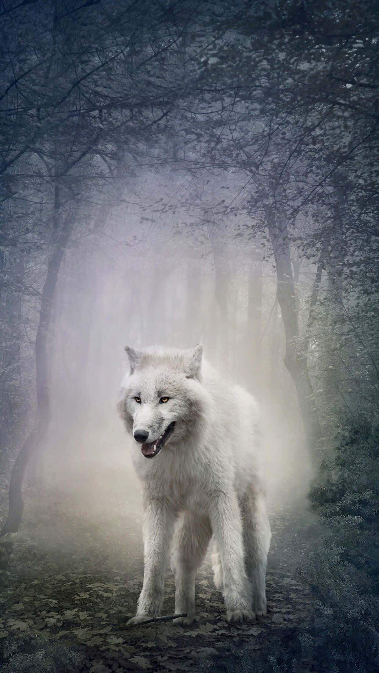 Arctic Wolf, white wolf, misty forest path, Full HD Phone Wallpaper