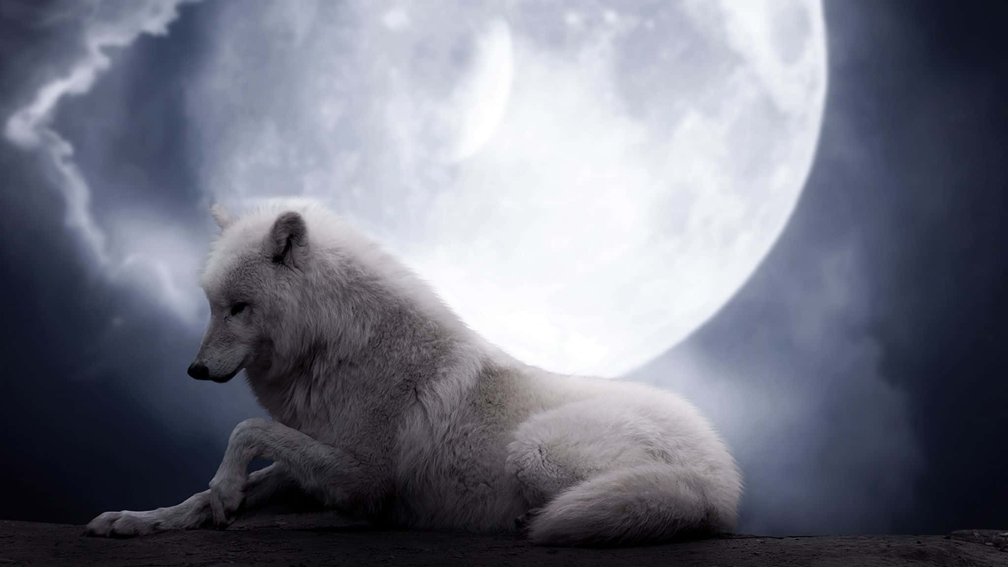 Arctic Wolf, glowing moon, swirling dark clouds, Full HD Desktop Wallpaper