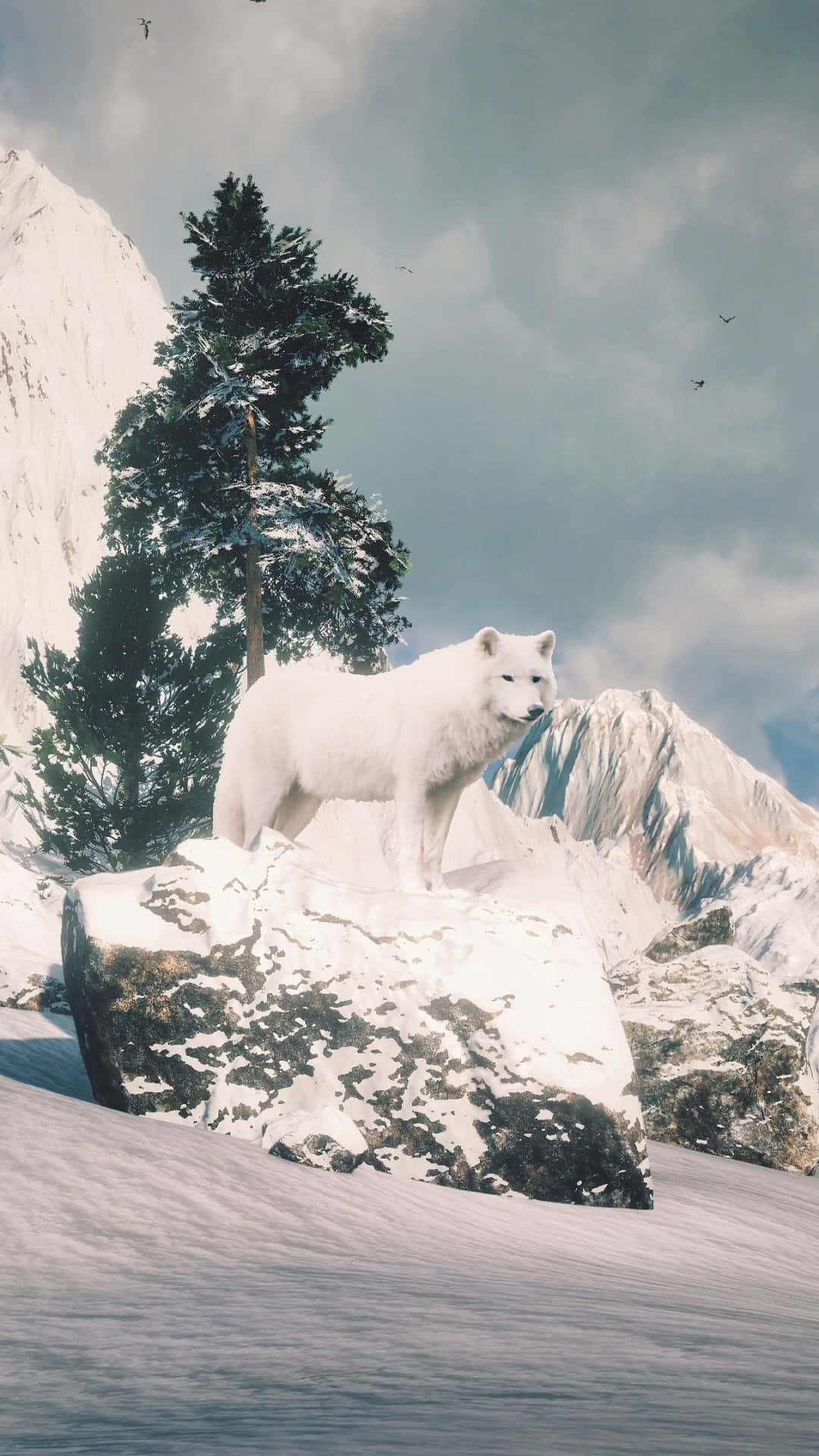 Arctic Wolf, snow-covered rock, alpine landscape, Full HD Phone Wallpaper