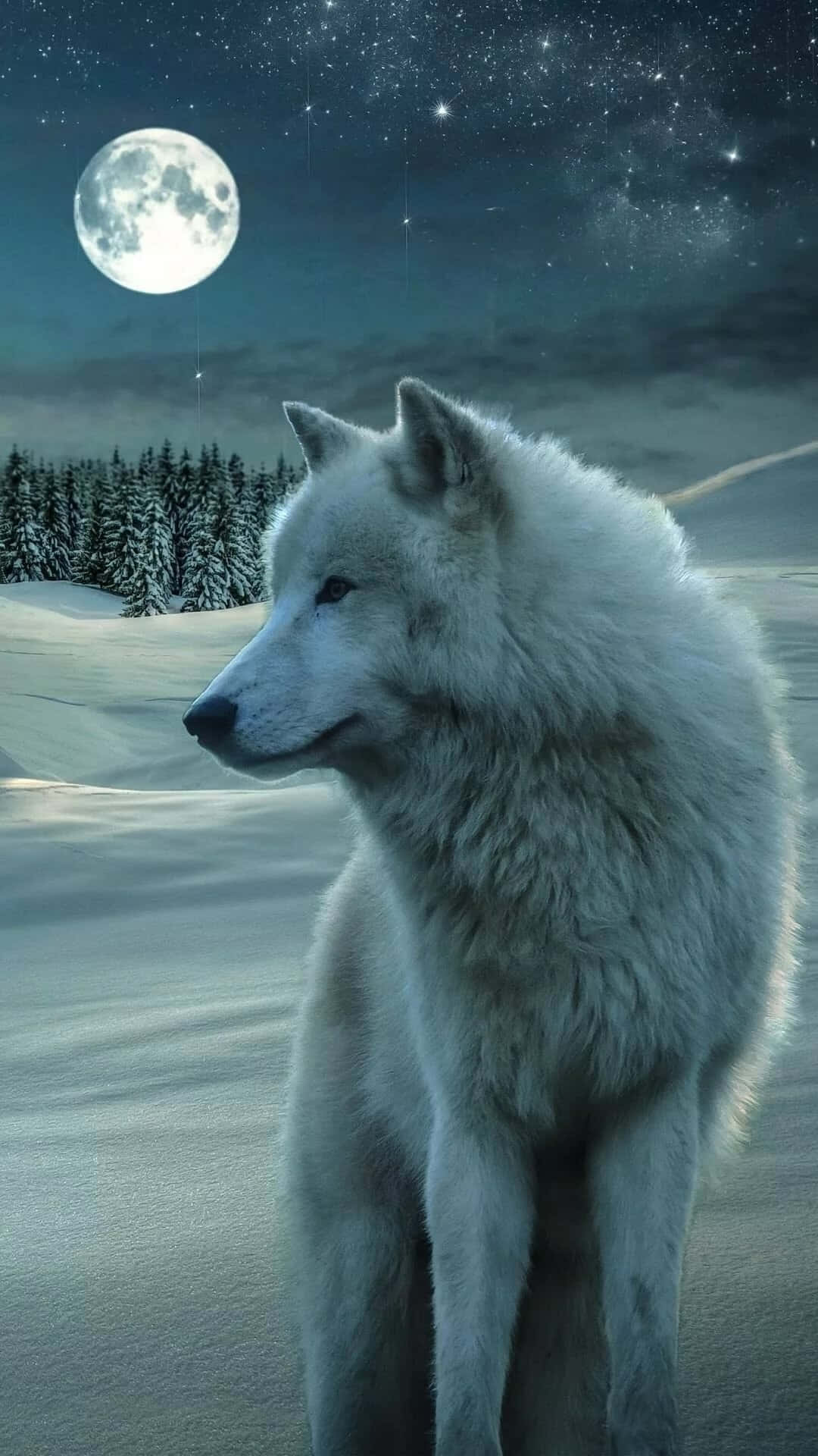 Arctic Wolf, snowy winter landscape, bright full moon, Full HD Phone Wallpaper