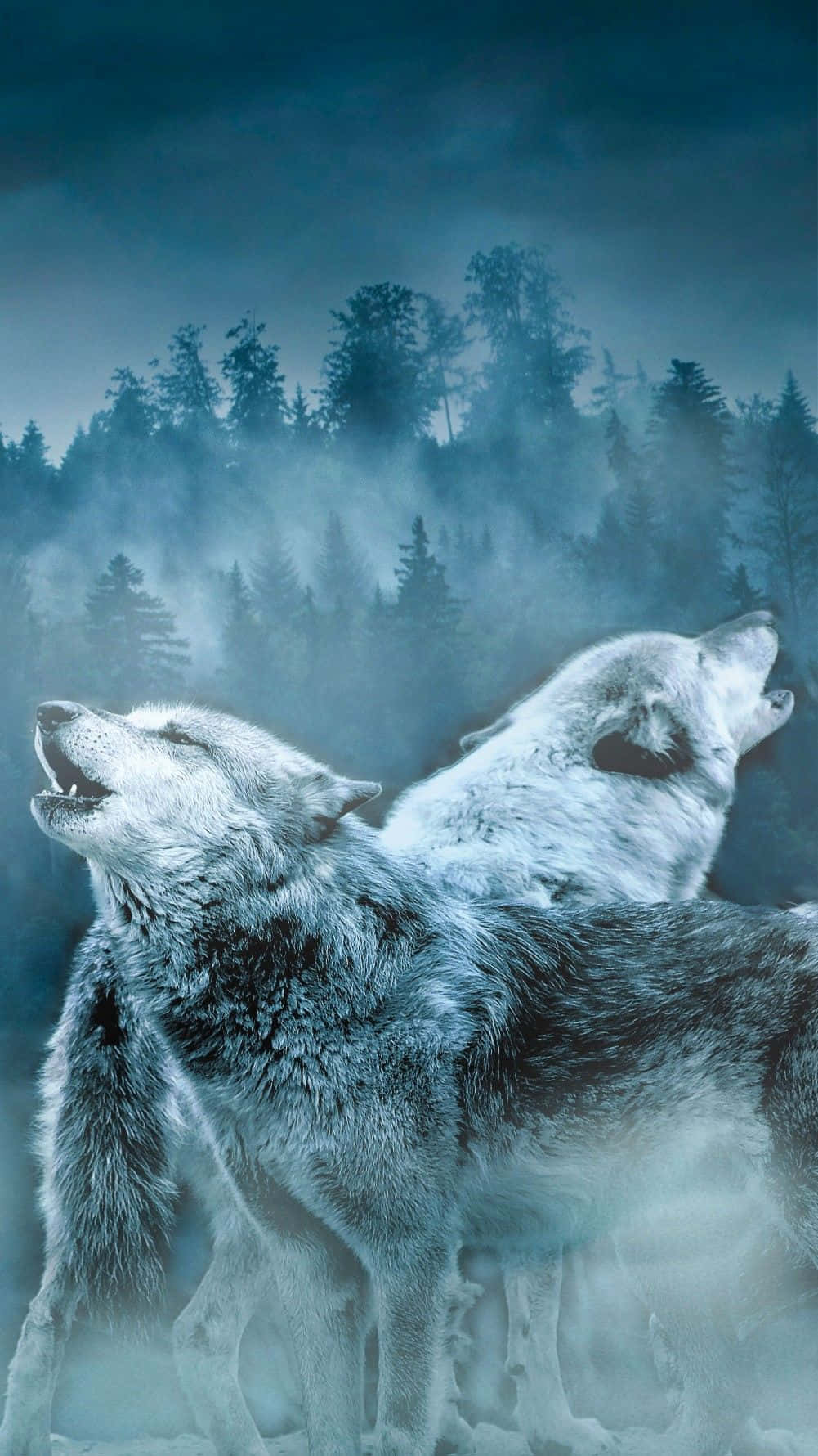 Arctic Wolf, misty forest, dark blue sky, HD Phone Wallpaper