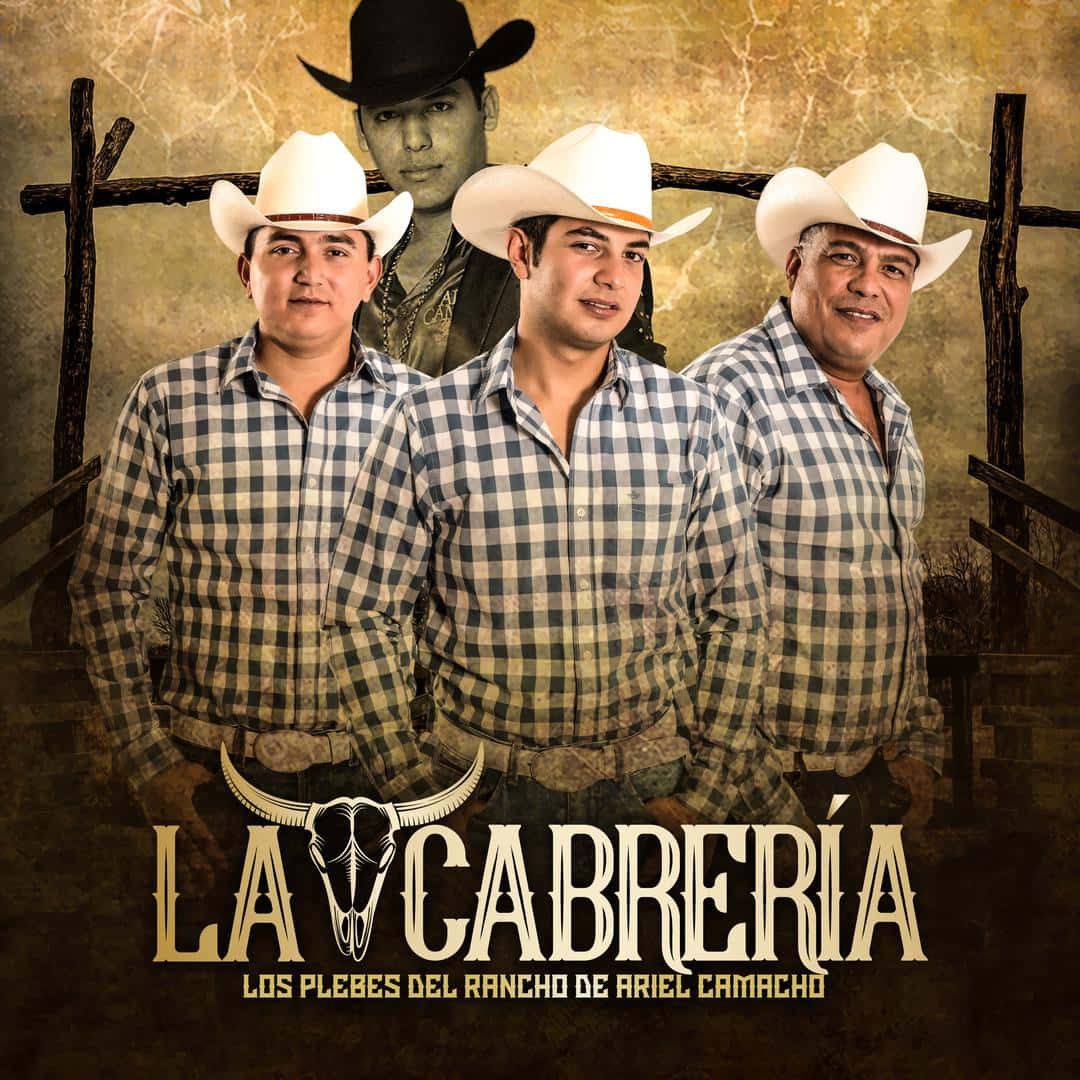 Ariel Camacho, white cowboy hats, plaid shirts, SD Desktop Wallpaper