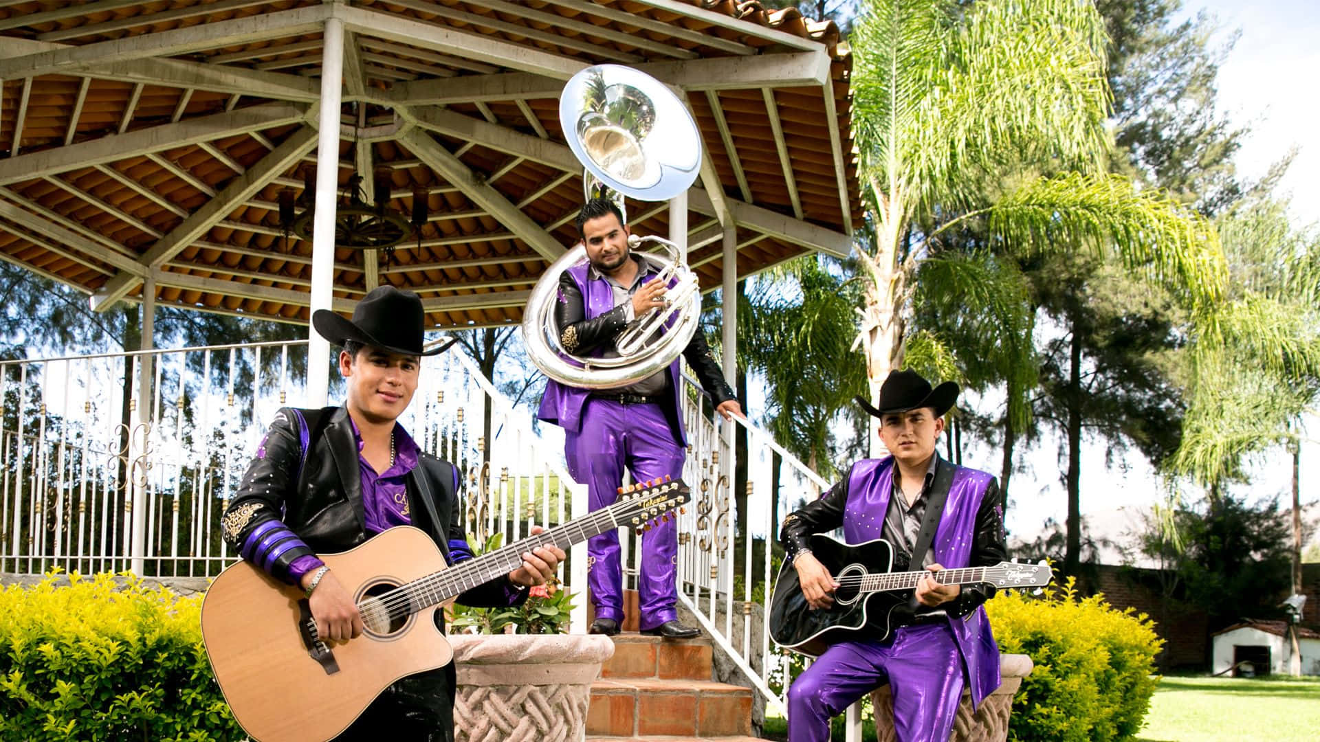 Ariel Camacho, purple outfits, shiny purple suits, Full HD Desktop Wallpaper