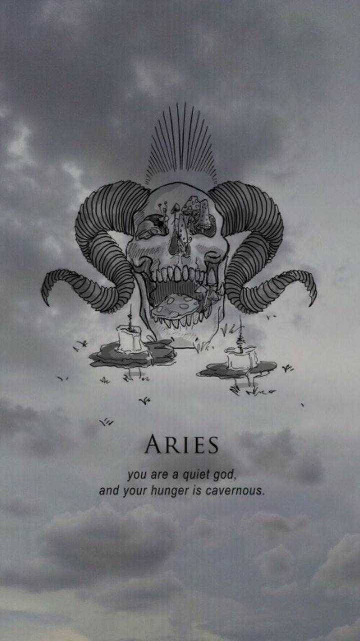 Aries, ram skull, spiraling horns, HD Phone Wallpaper