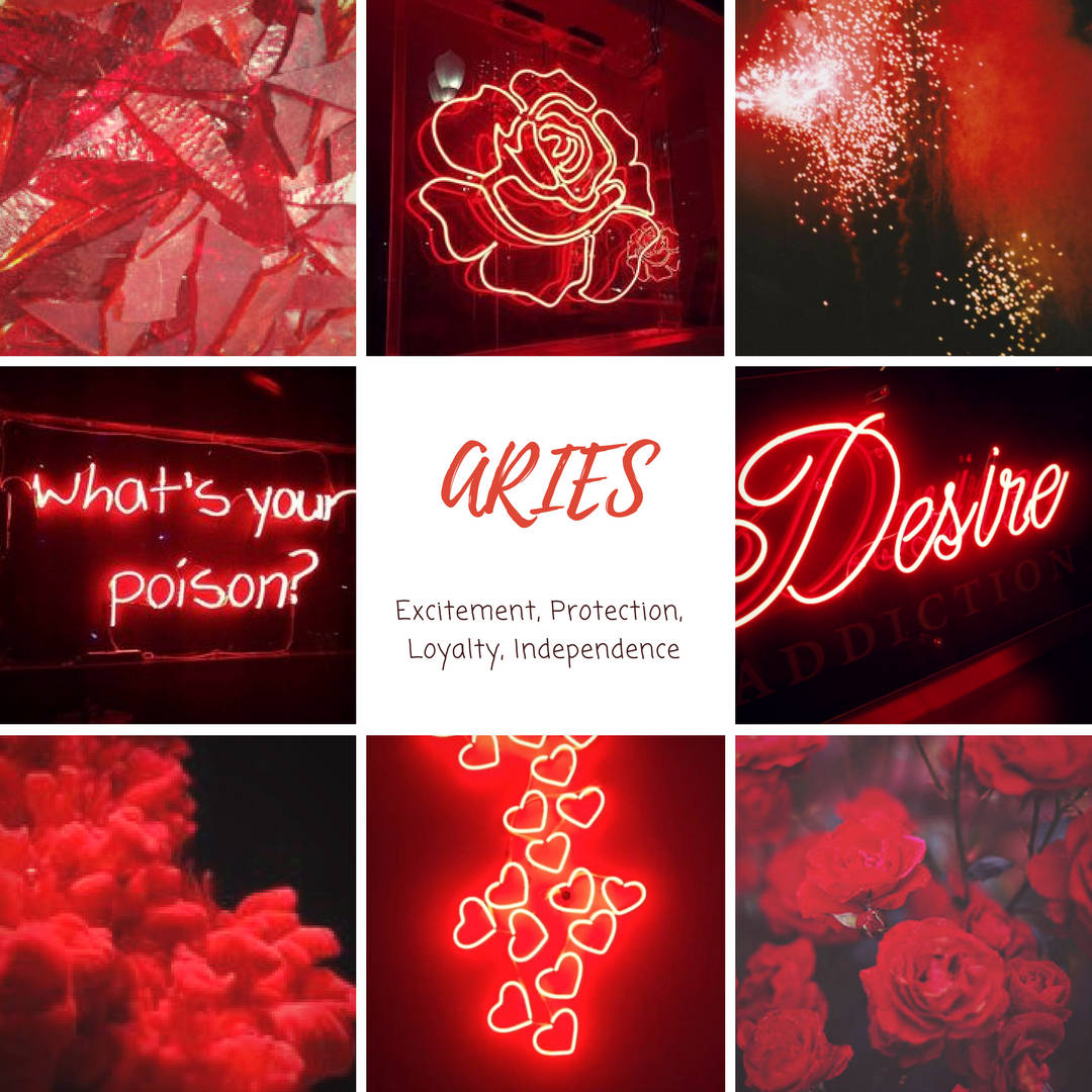 Aries, red neon, roses, SD Desktop Wallpaper