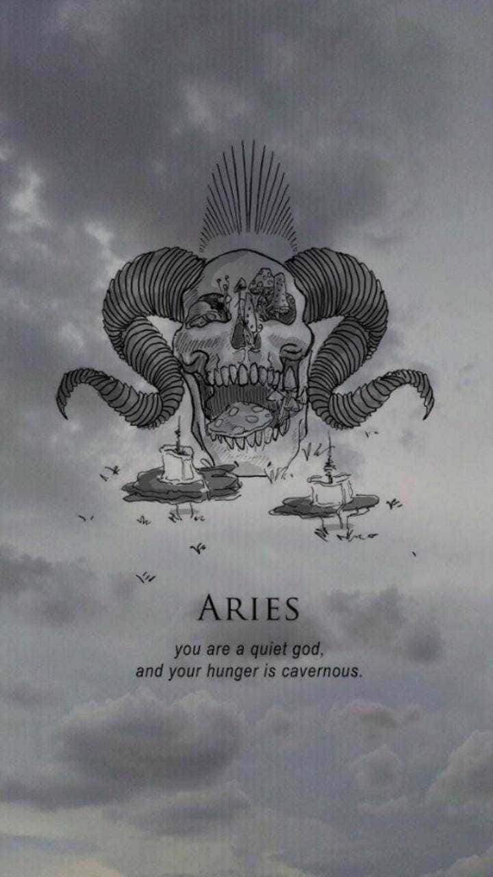 Aries, ram skull, horns, HD Phone Wallpaper