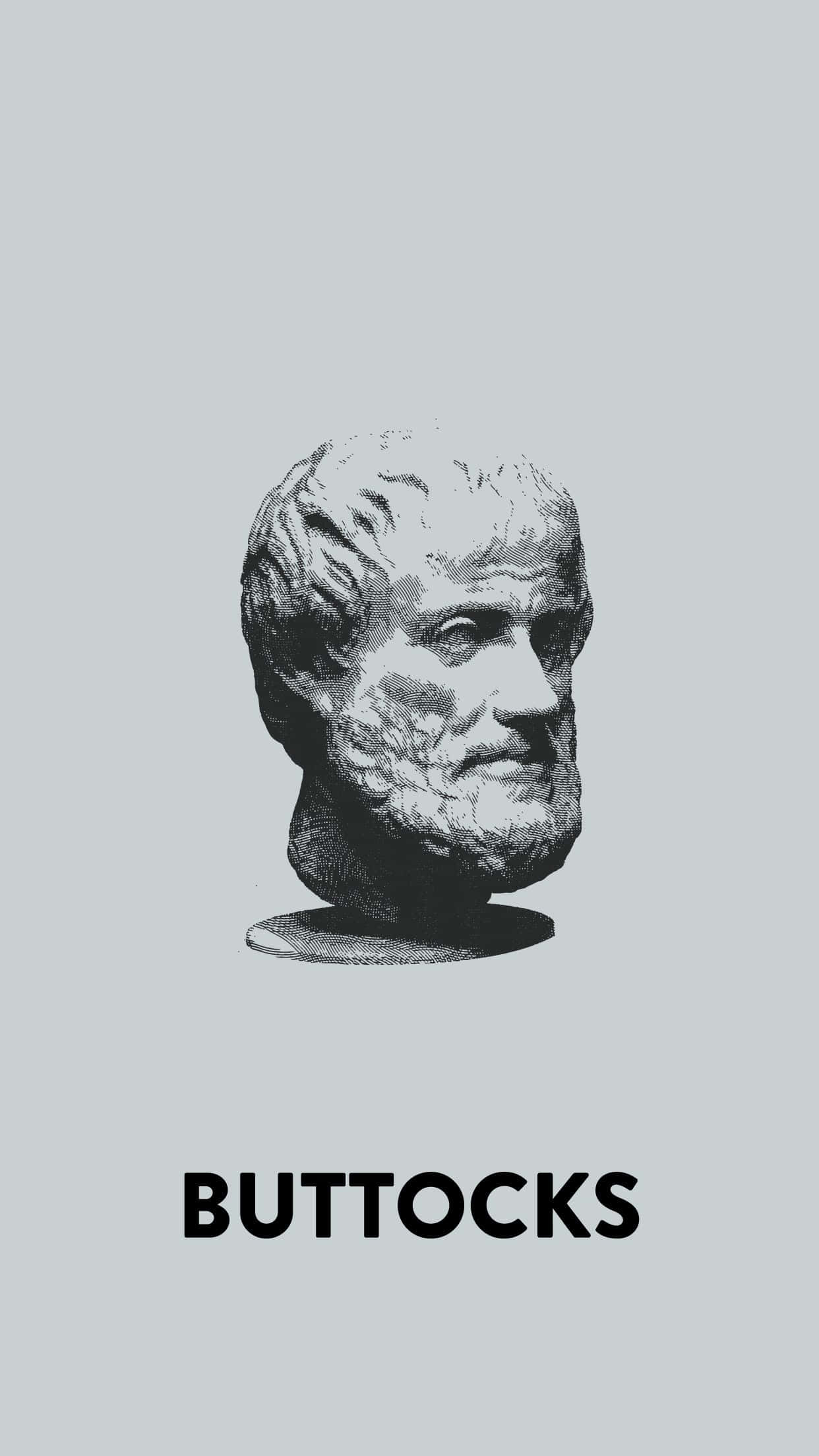 Aristotle, black and white illustration, classical marble bust head, Full HD Phone Wallpaper