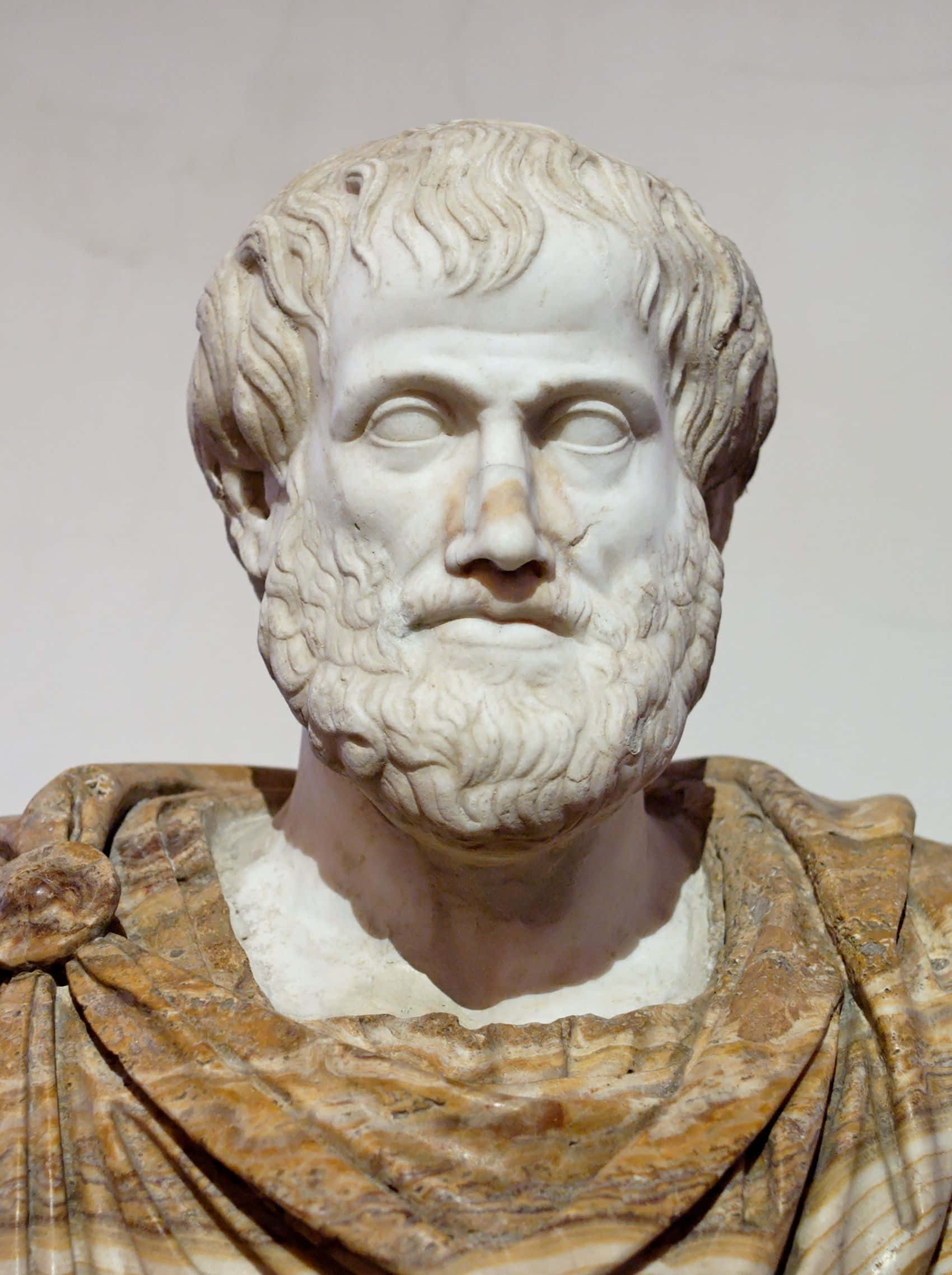 Aristotle, marble bust, bearded ancient philosopher, Full HD Phone Wallpaper