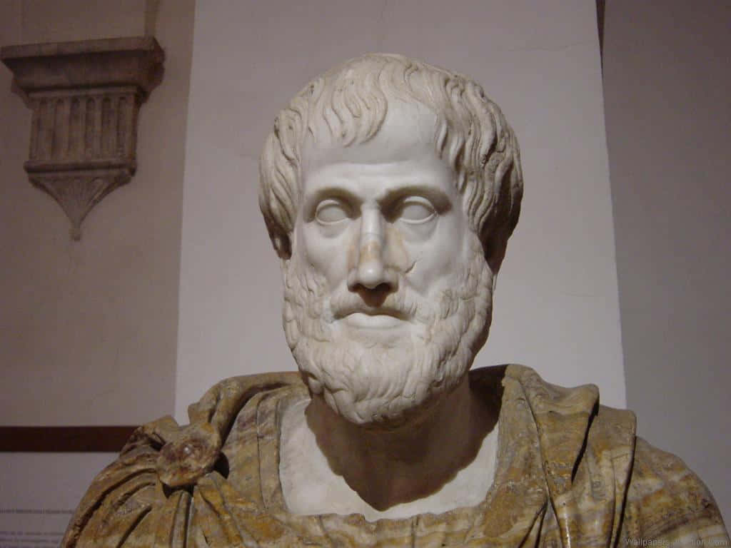 Aristotle, marble bust, bearded ancient man, SD Desktop Wallpaper