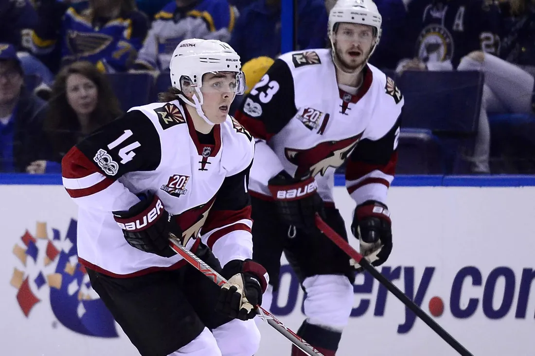 Arizona Coyotes