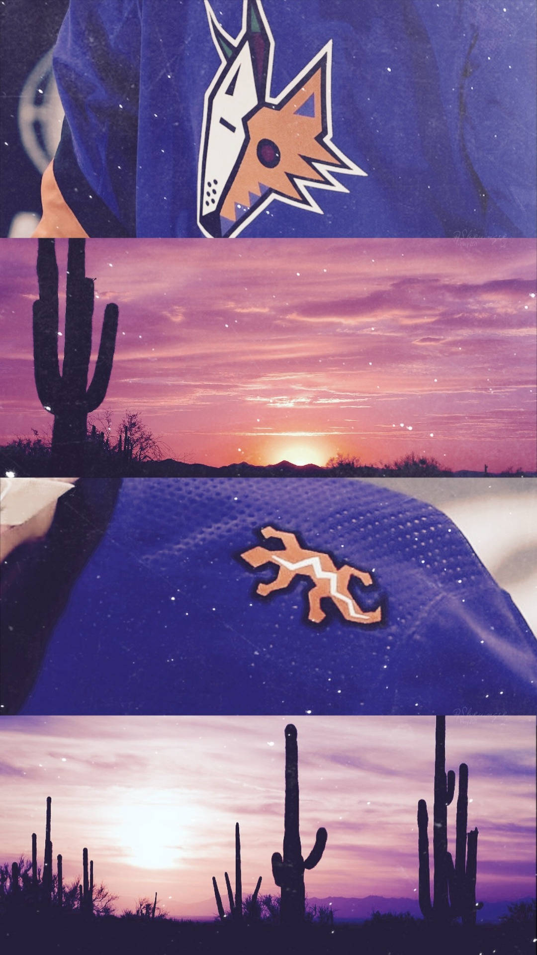 Arizona Coyotes, blue jersey, stylized fox logo, Full HD Phone Wallpaper