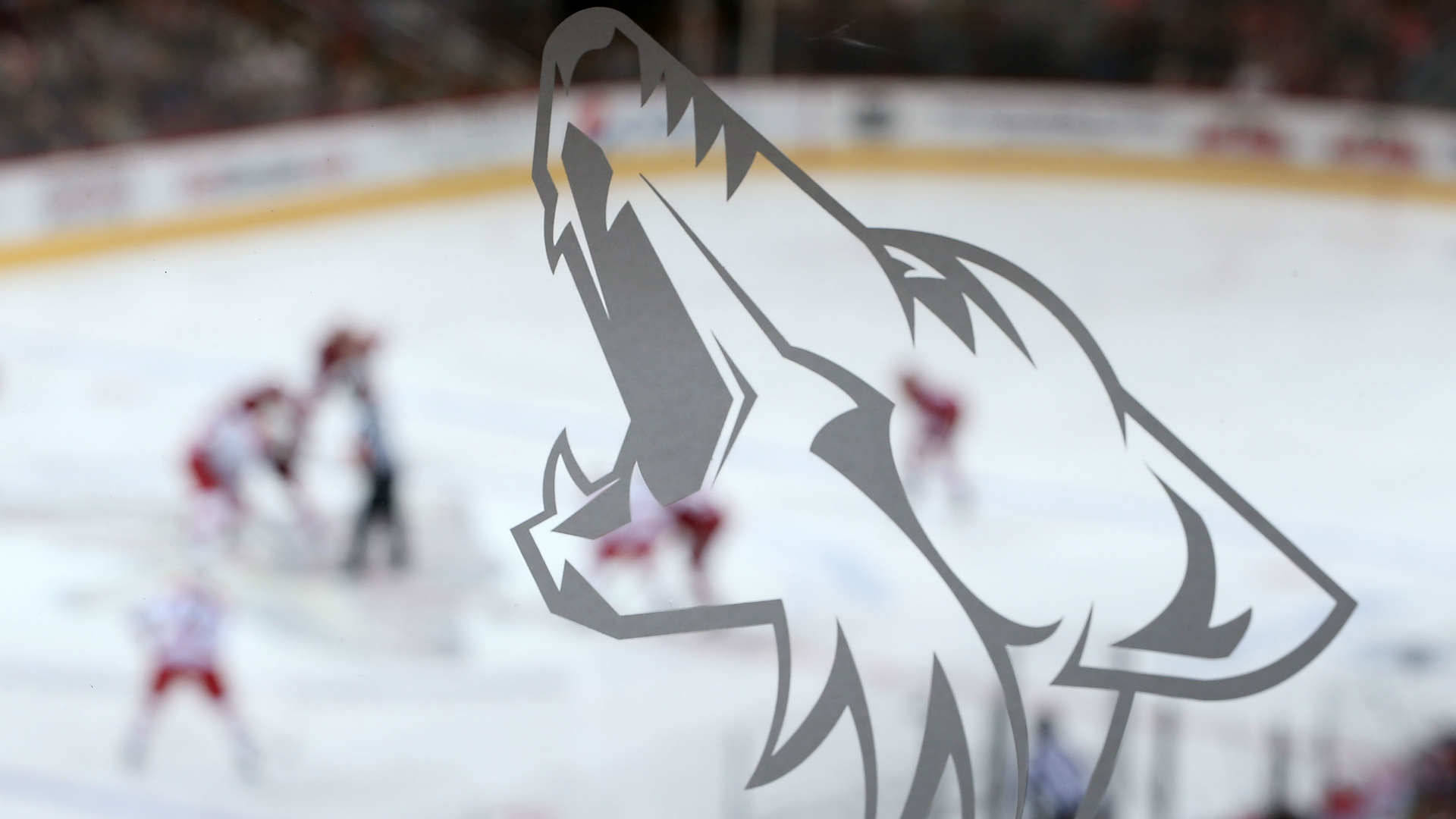 Arizona Coyotes, ice hockey rink, gray wolf logo silhouette, Full HD Desktop Wallpaper
