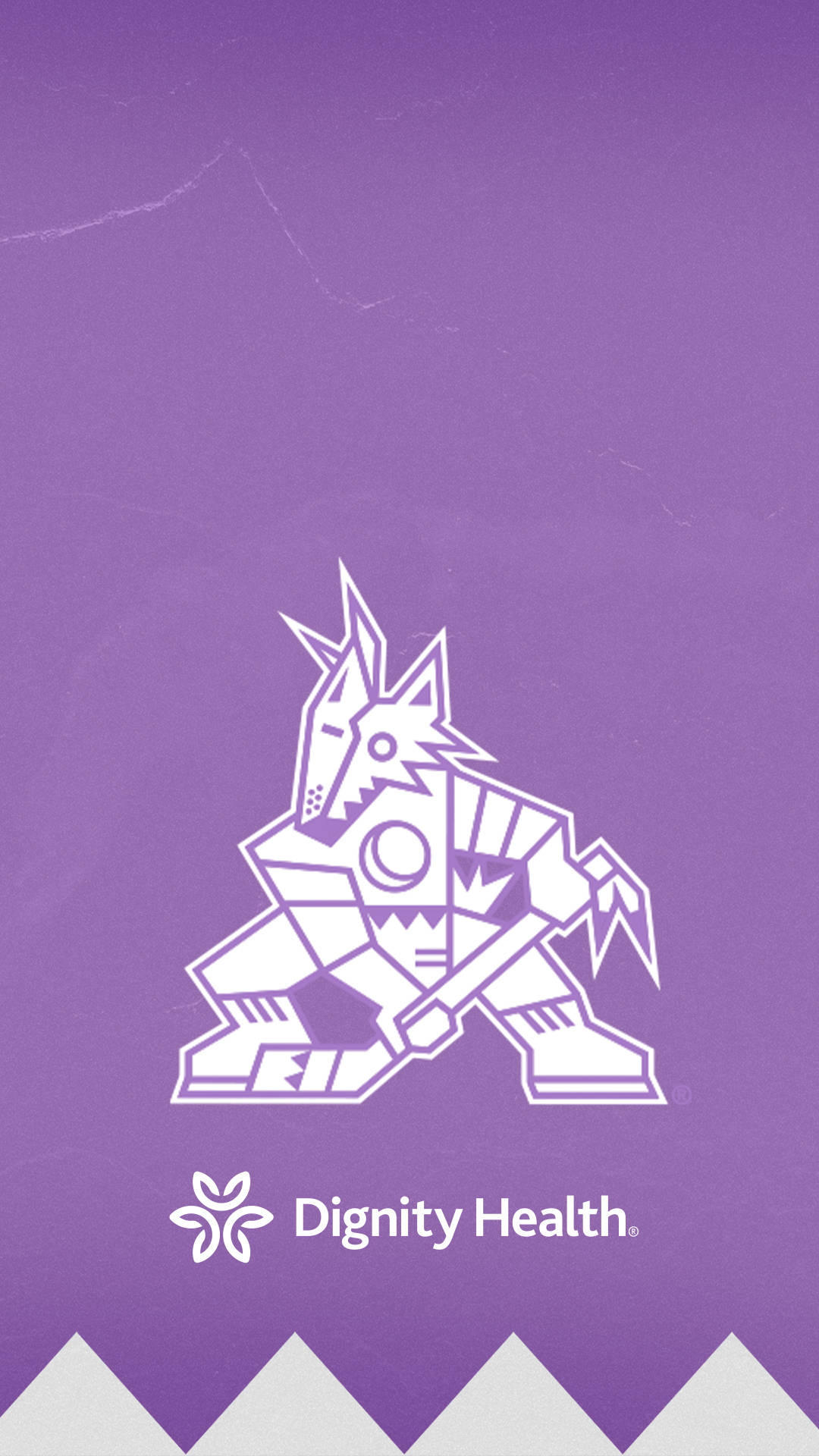 Arizona Coyotes, purple, white, Full HD Phone Wallpaper