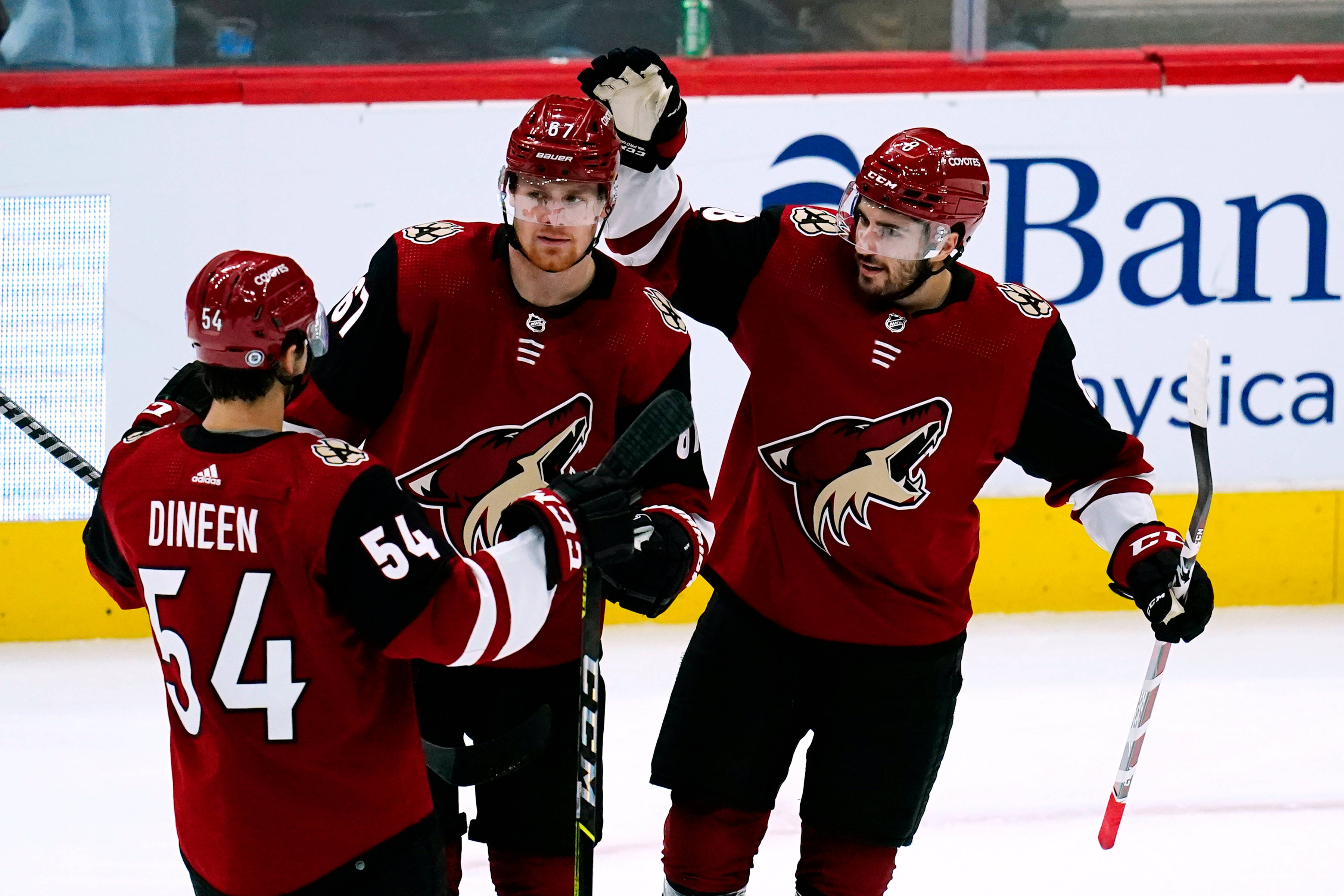 Arizona Coyotes, red jerseys, ice hockey team, 2K Desktop Wallpaper