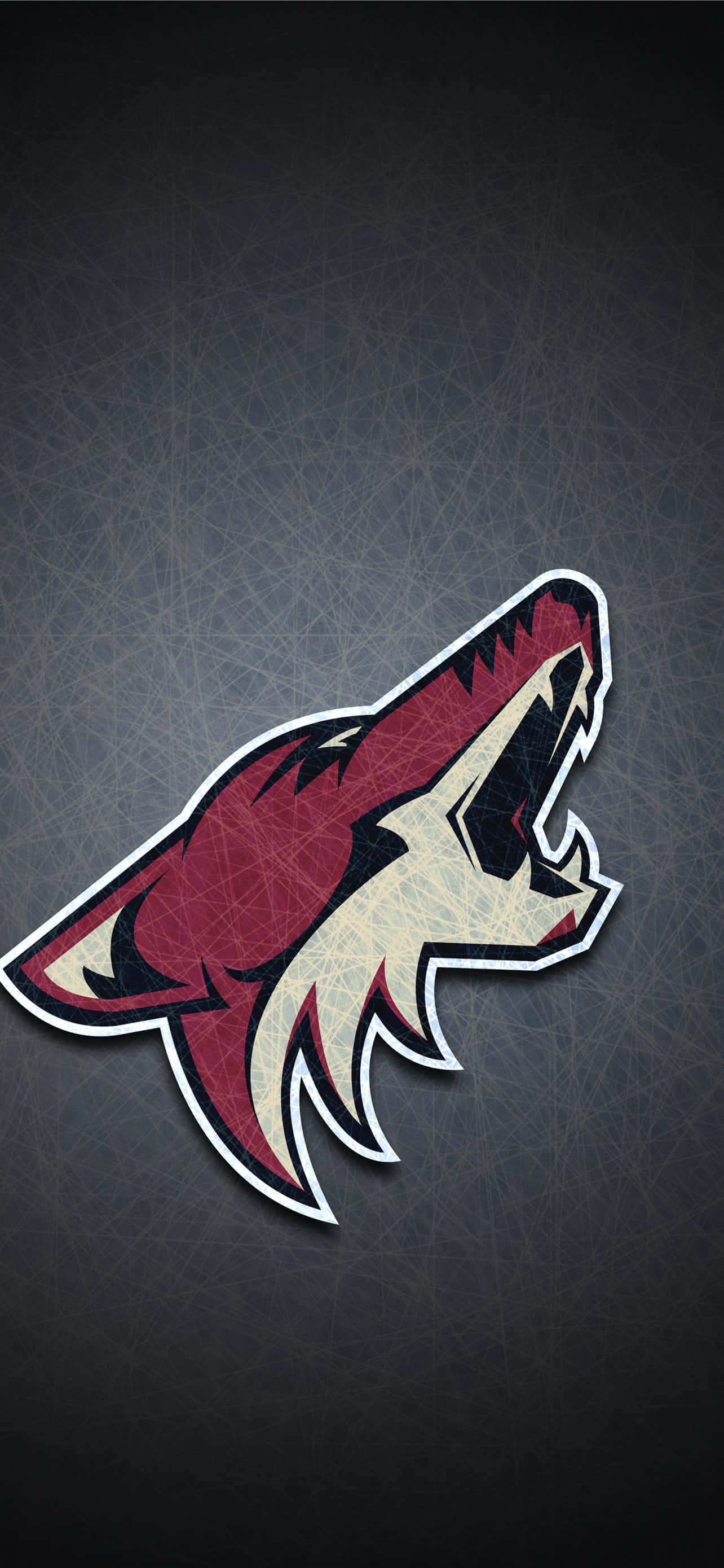 Arizona Coyotes, maroon, cream, 2K Phone Wallpaper