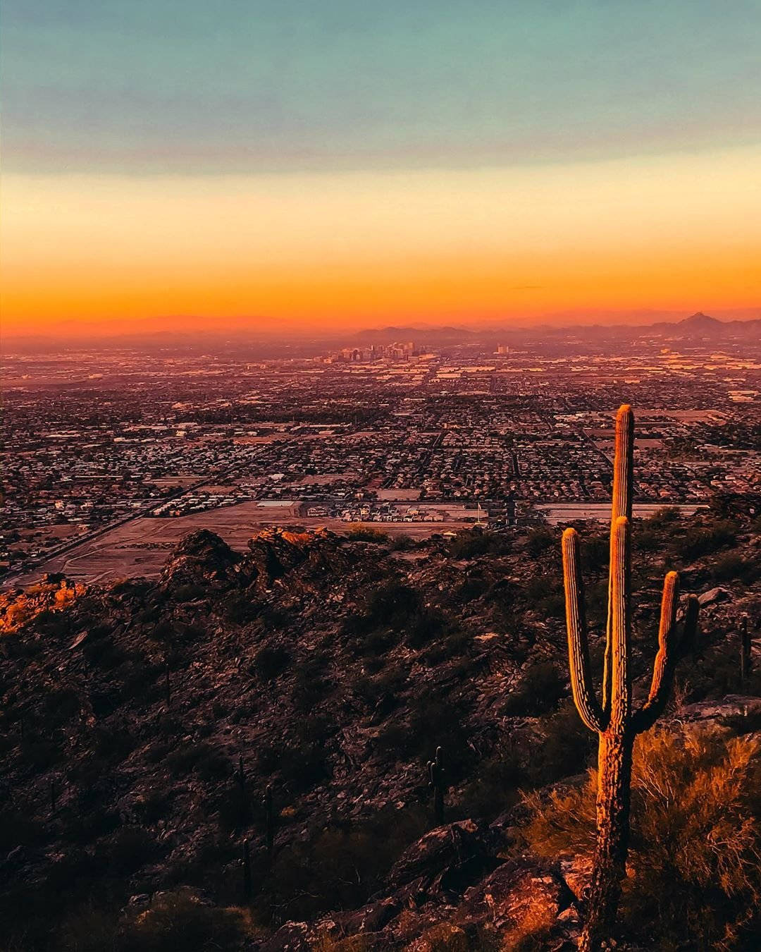 Arizona Desert, sunset, saguaro cactus, HD Phone Wallpaper