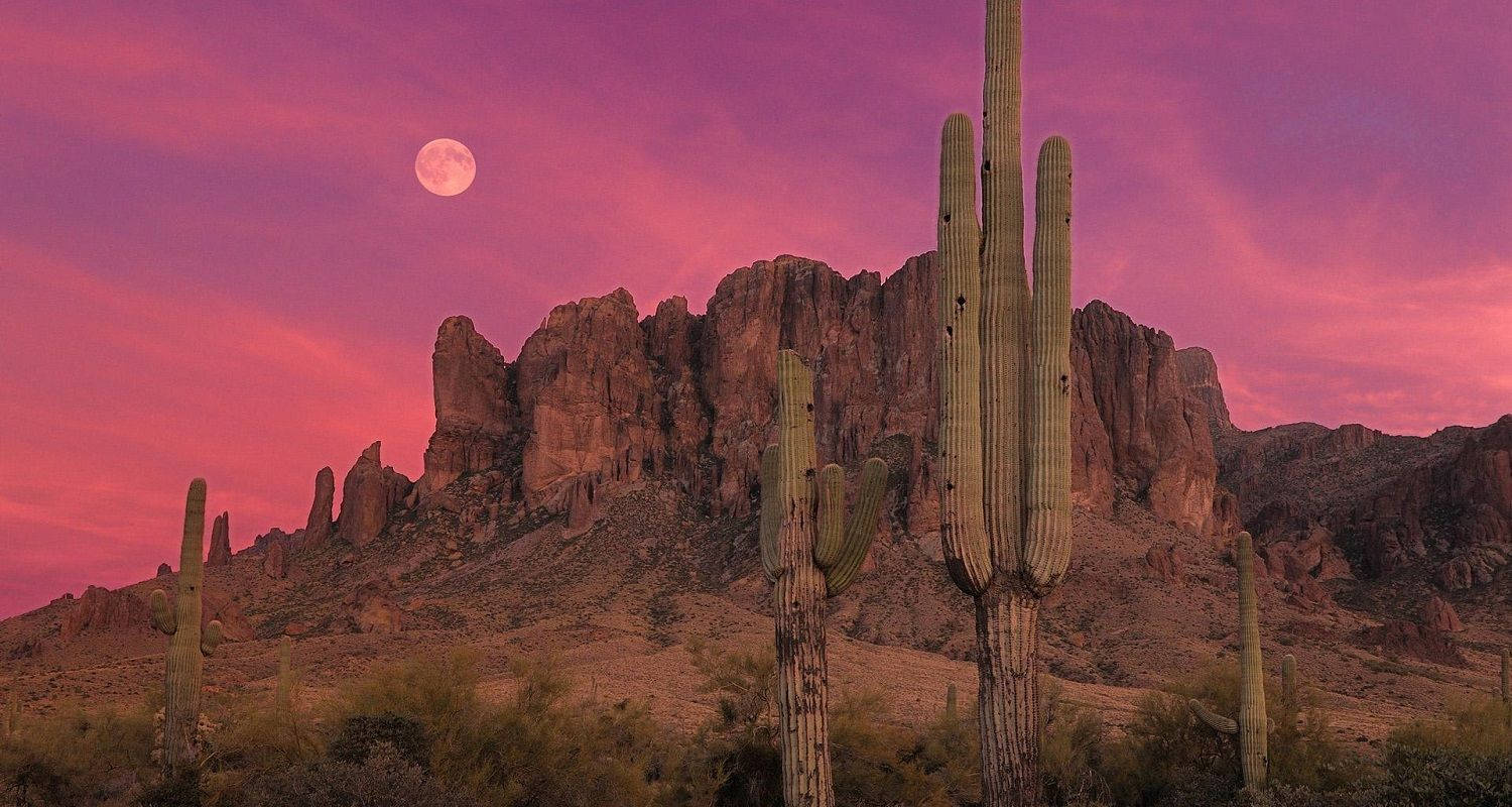 saguaro cacti, vibrant pink sky, glowing full moon, HD Desktop Wallpaper