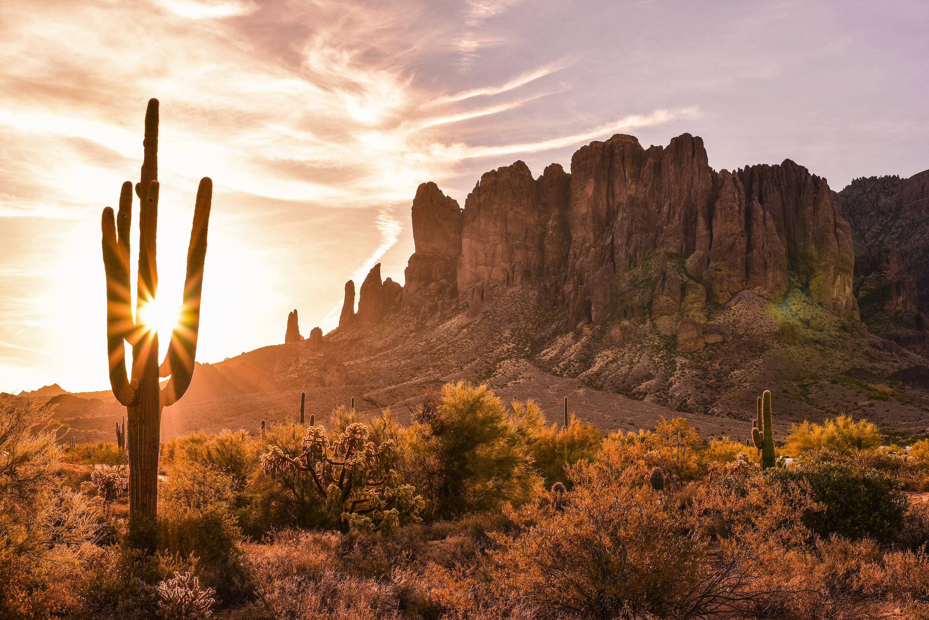 saguaro cactus, golden sunset, rugged desert rock formations, 2K Desktop Wallpaper