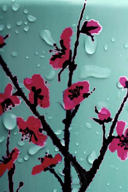 Arizona Tea, pink cherry blossoms, dark branches, SD Phone Wallpaper