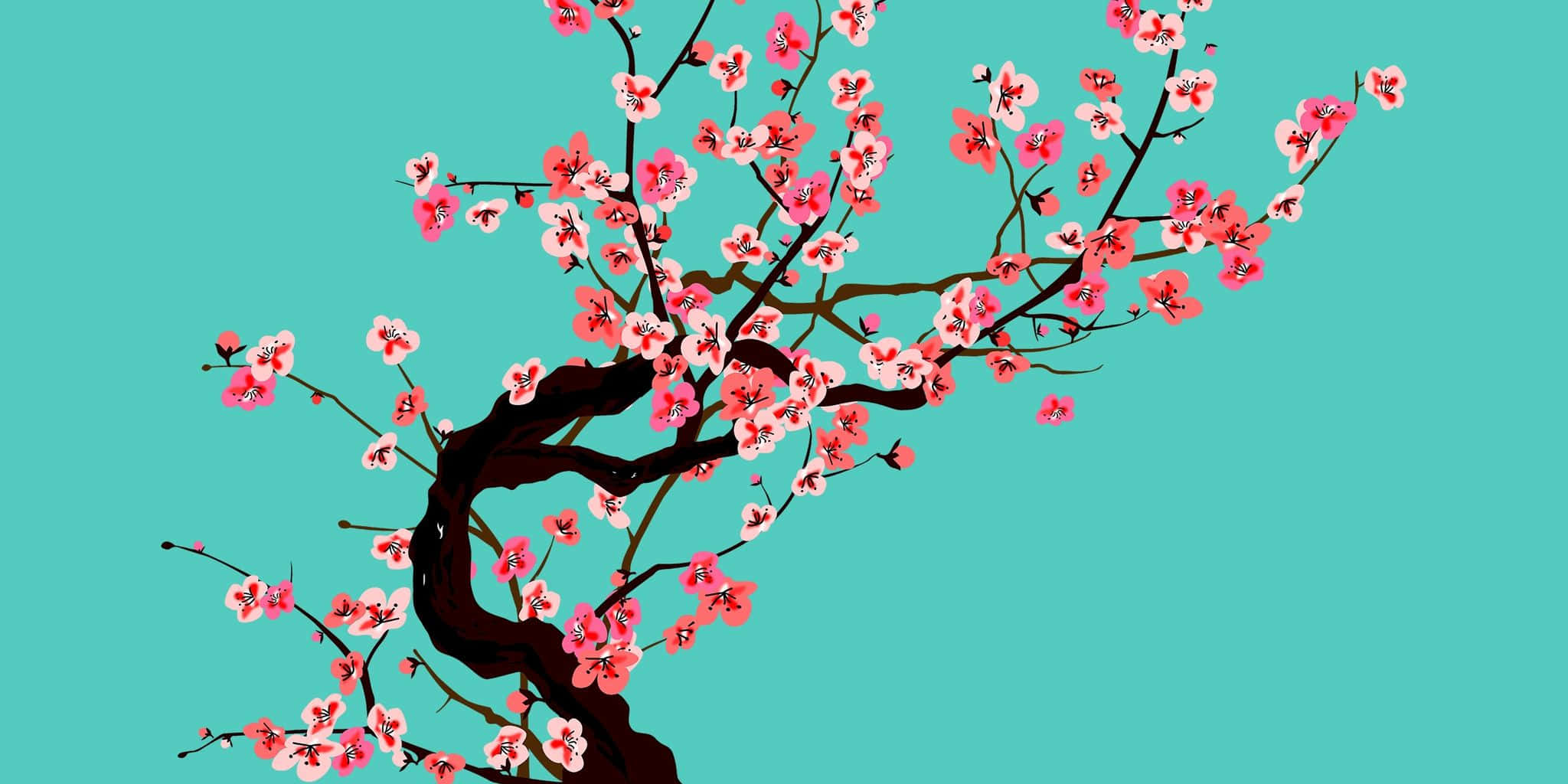 Arizona Tea, cherry blossom tree, pink flowers, Full HD Desktop Wallpaper