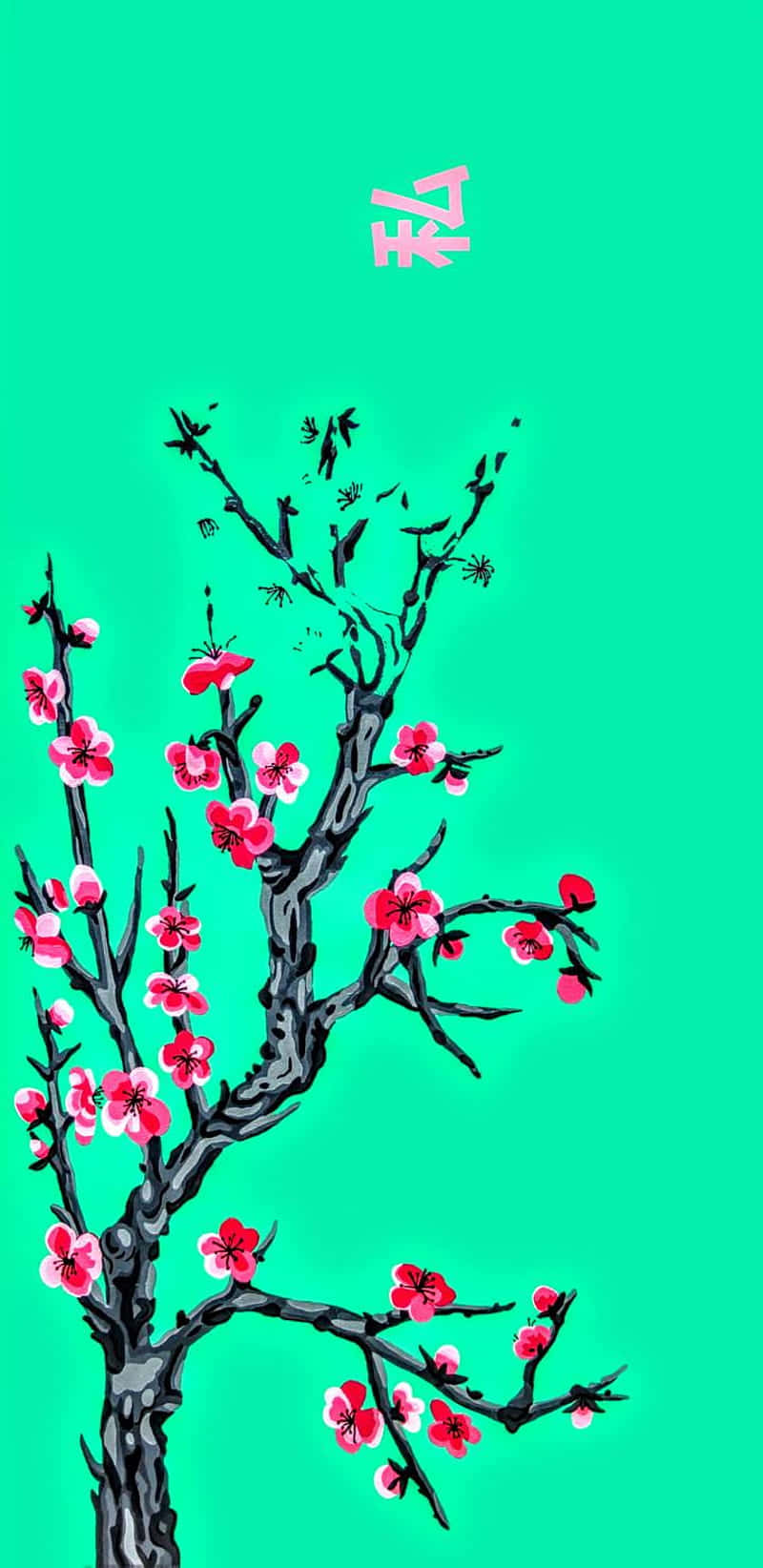 Arizona Tea, black cherry blossom tree, pink flowers, HD Phone Wallpaper