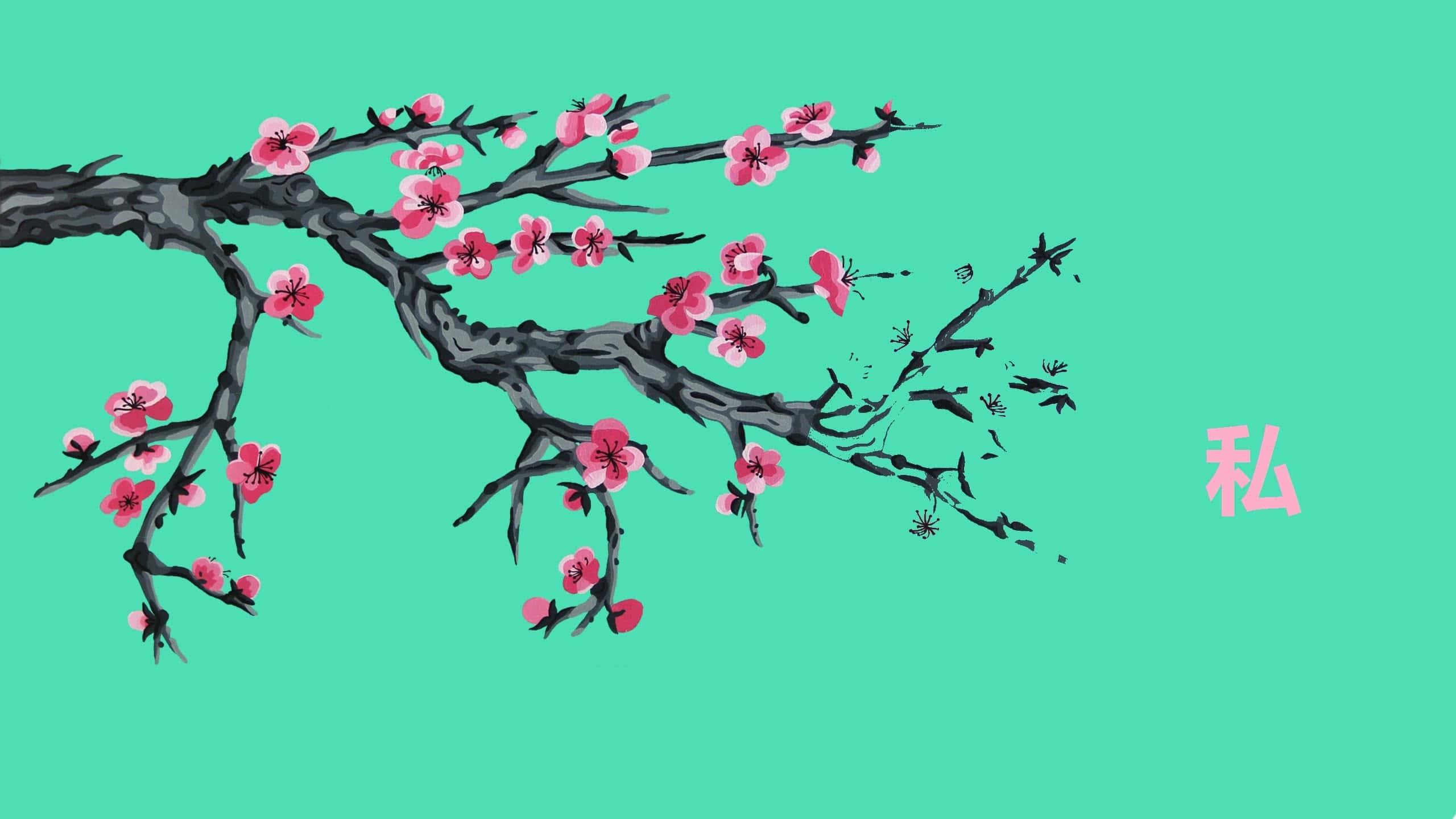 Arizona Tea, pink blossoms, teal background, 2K Desktop Wallpaper