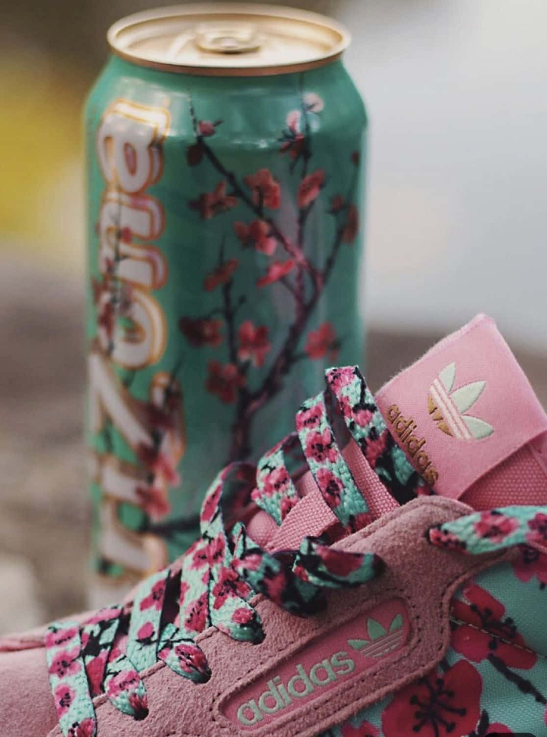 Arizona Tea, pink and white adidas sneaker, cherry blossom patterned laces, HD Phone Wallpaper